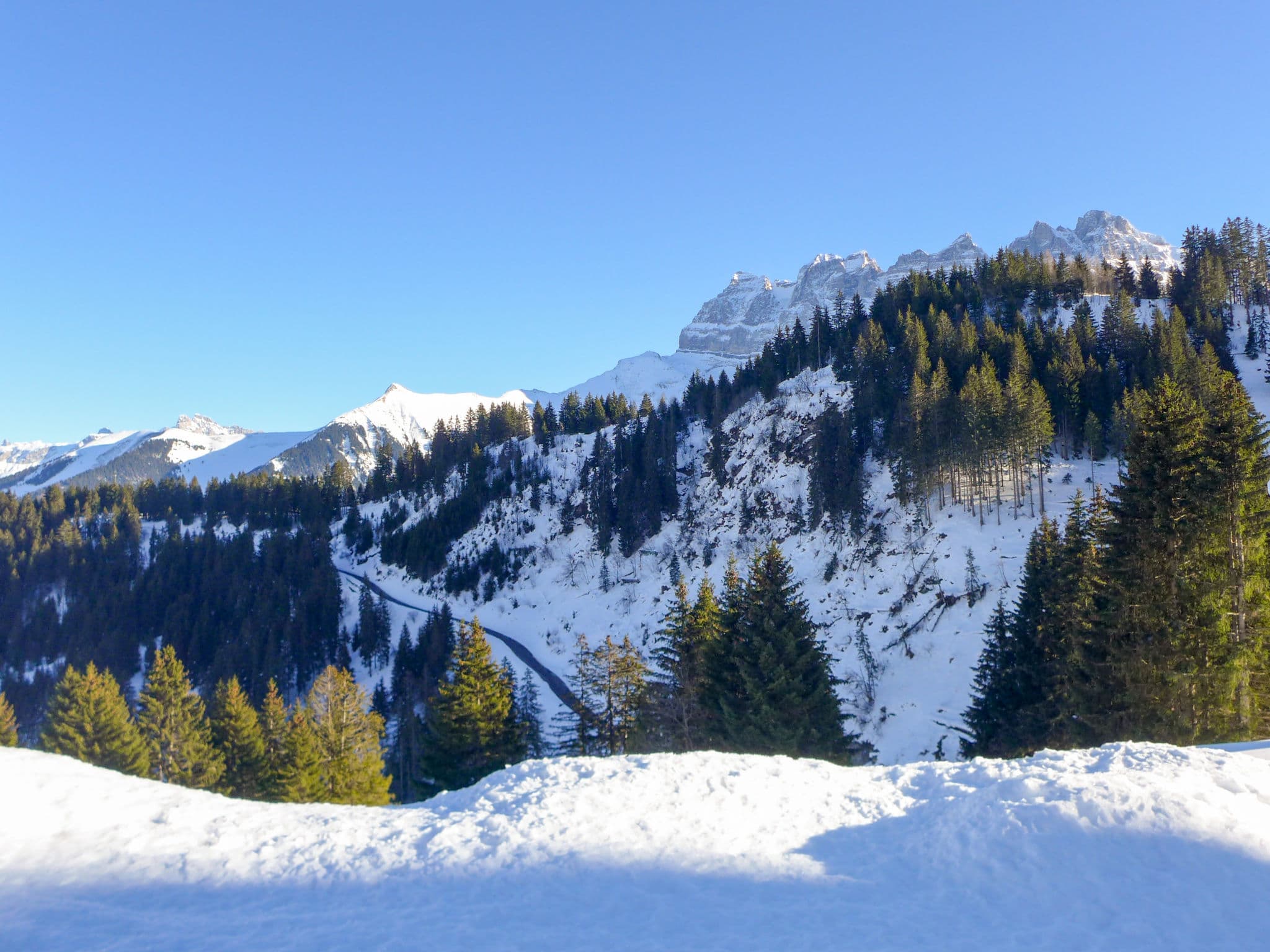 View
