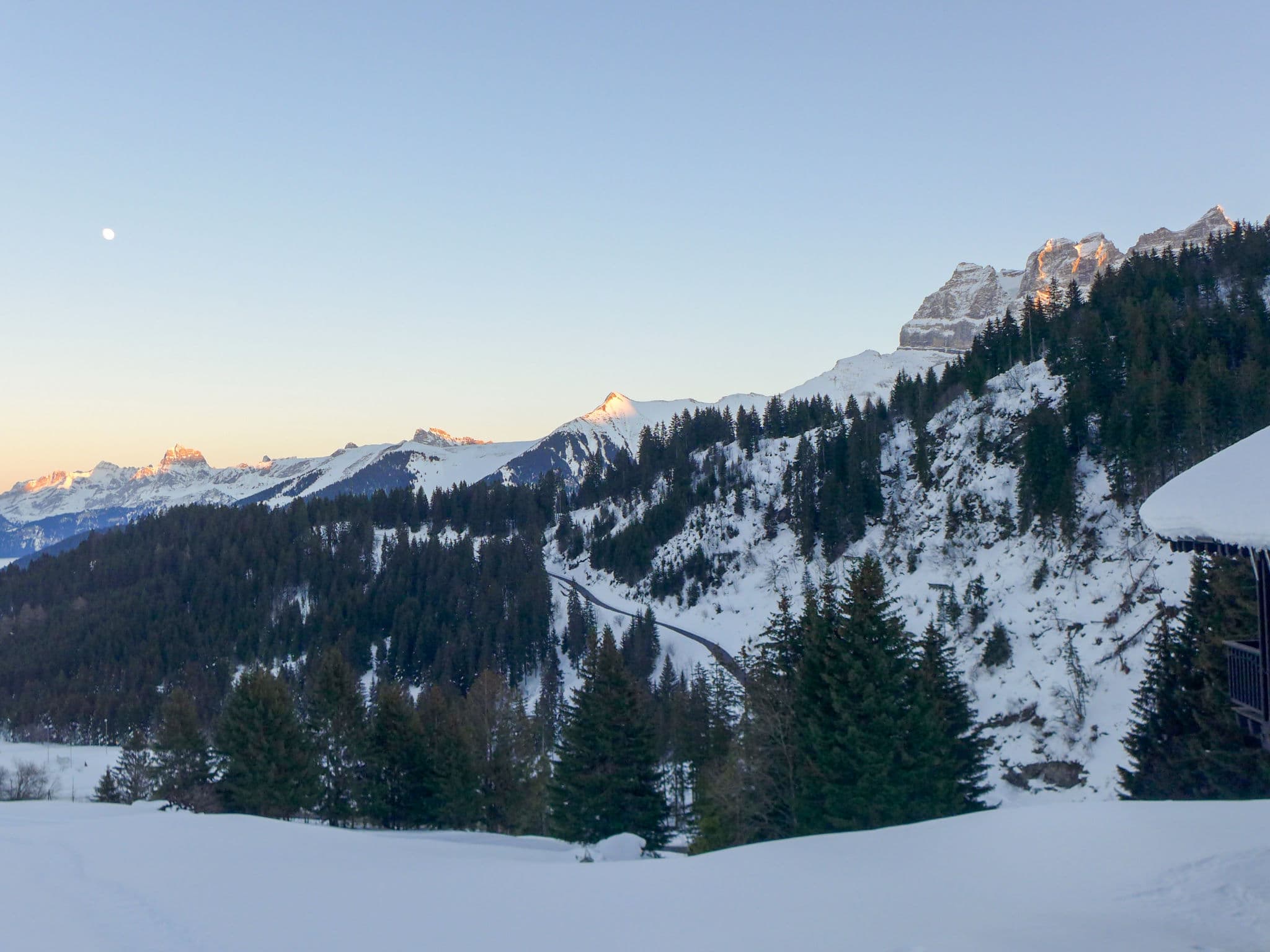 View
