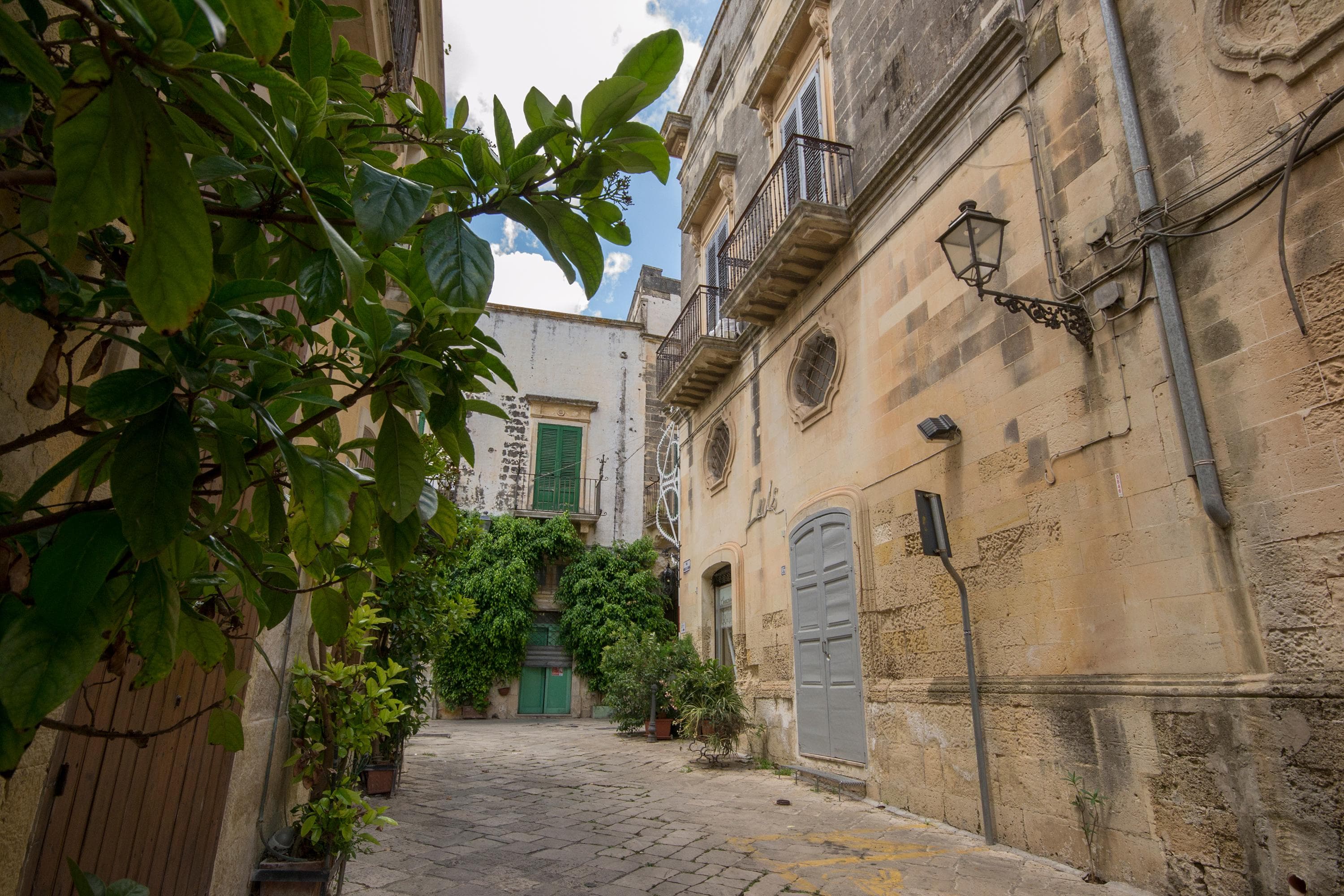 Gallery Image 50