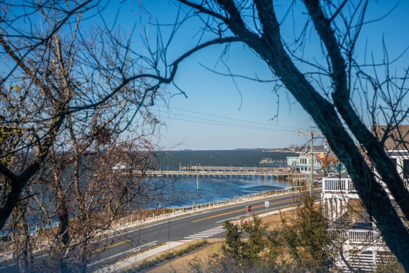 View through the trees to a long pier & sound-side houses across the road.