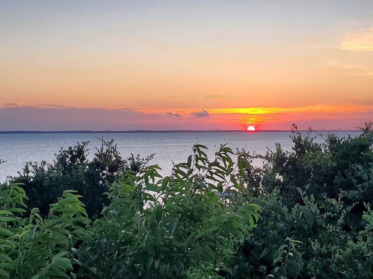 Sunset over the sound, the sun dropping to the far shore beyond the shrub line.