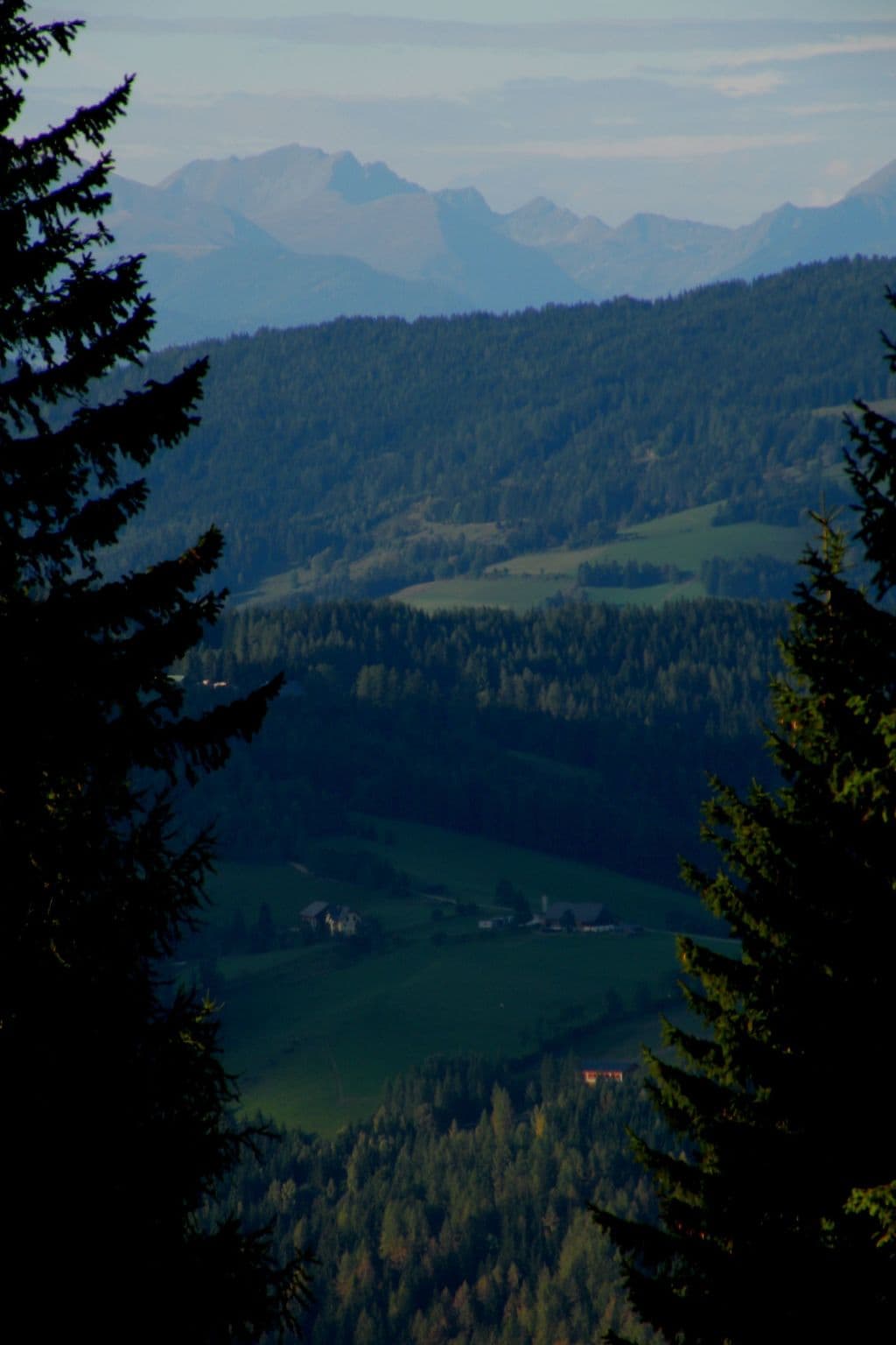 View