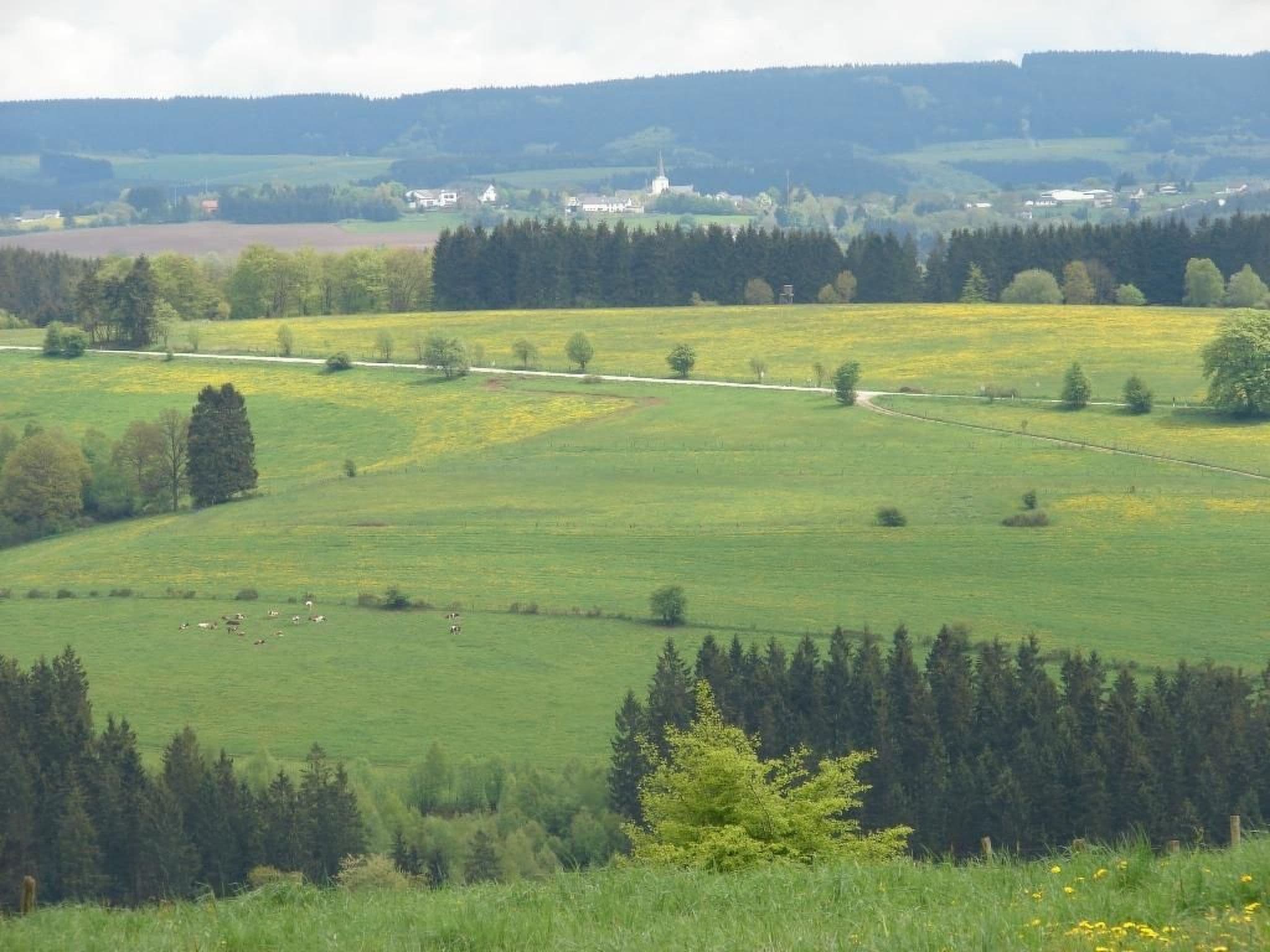 View