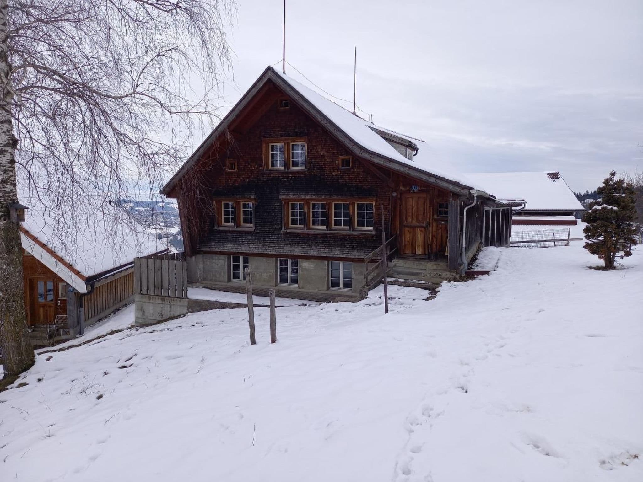 Gallery Image 11