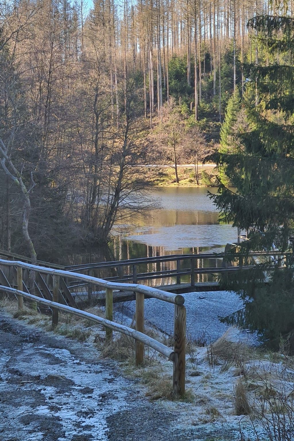 Gallery Image 12