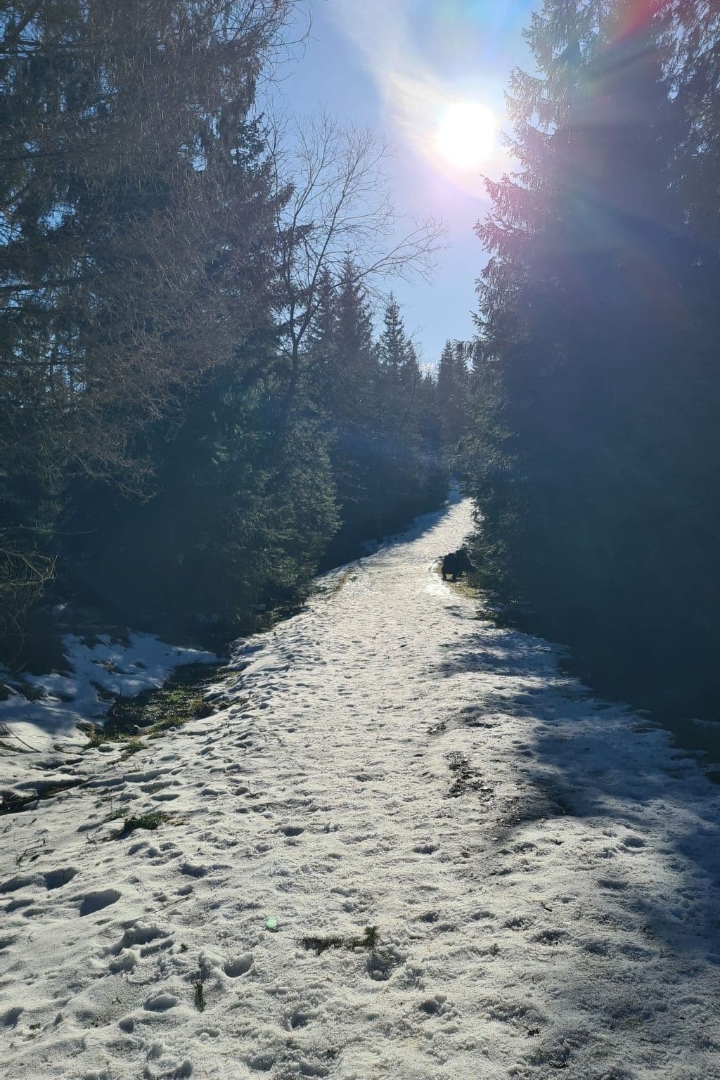 Gallery Image 13