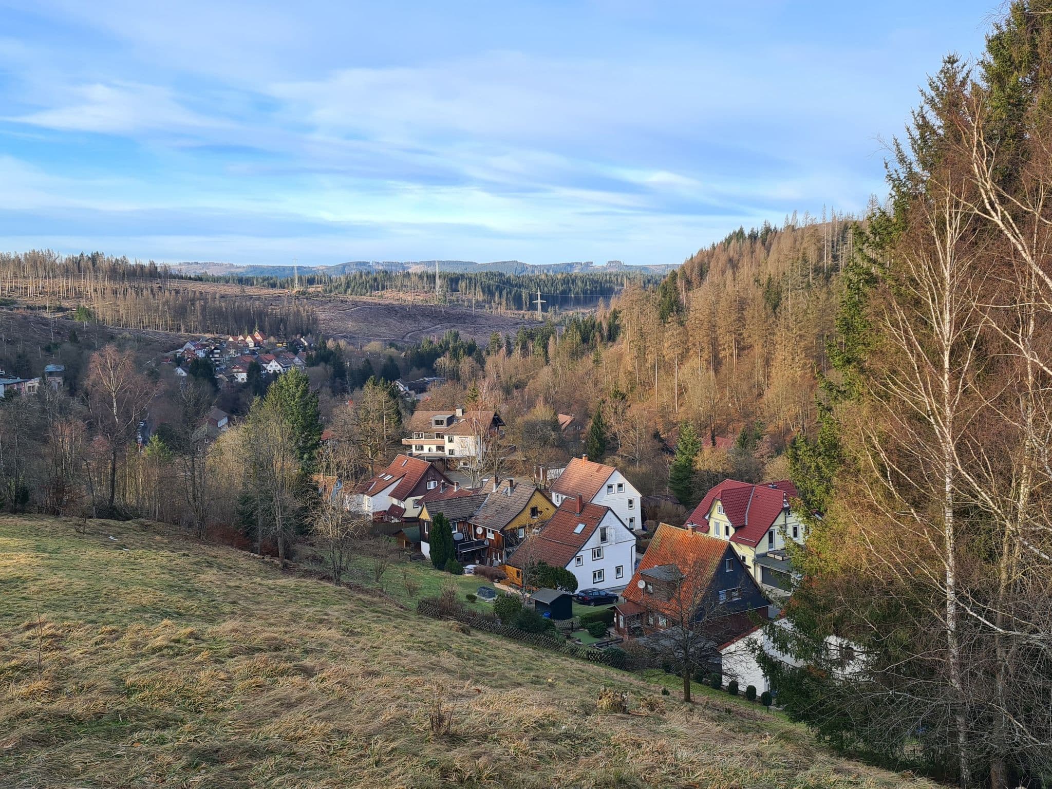 View