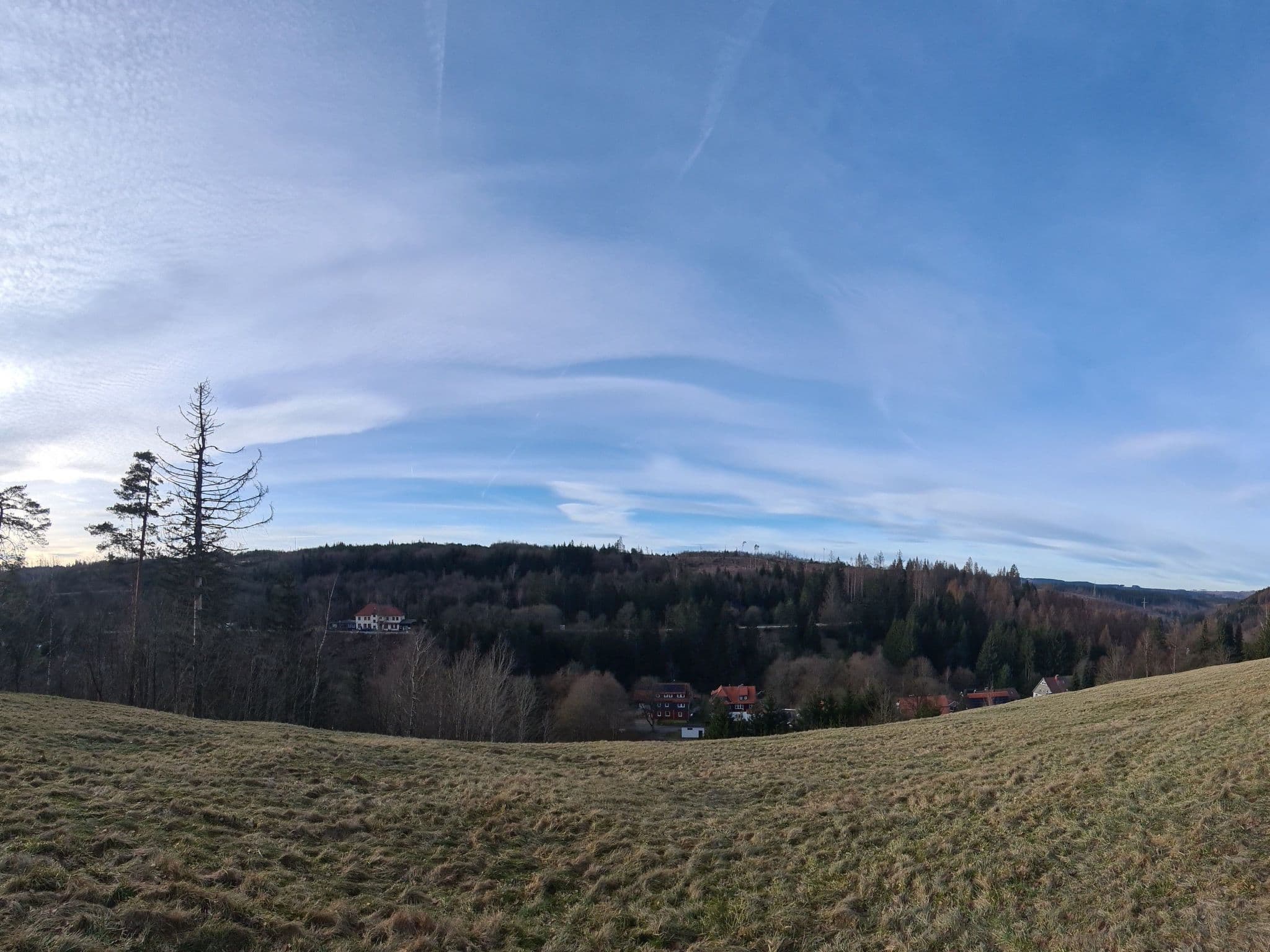 View