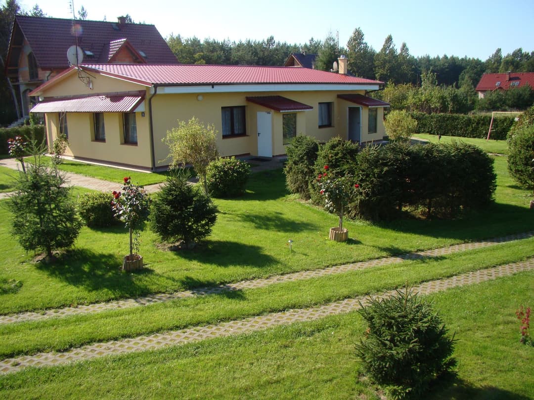 Large Image