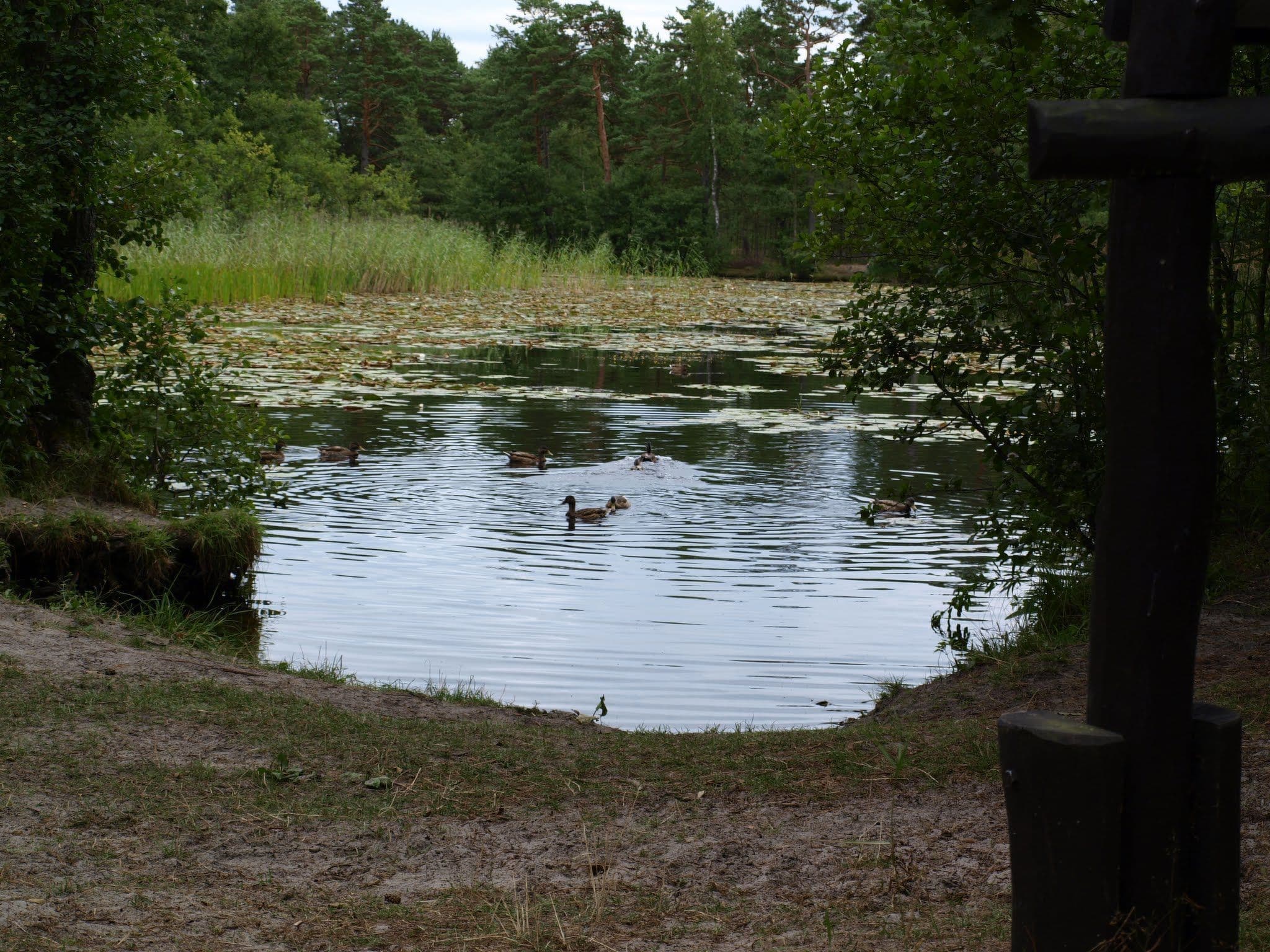 Gallery Image 38