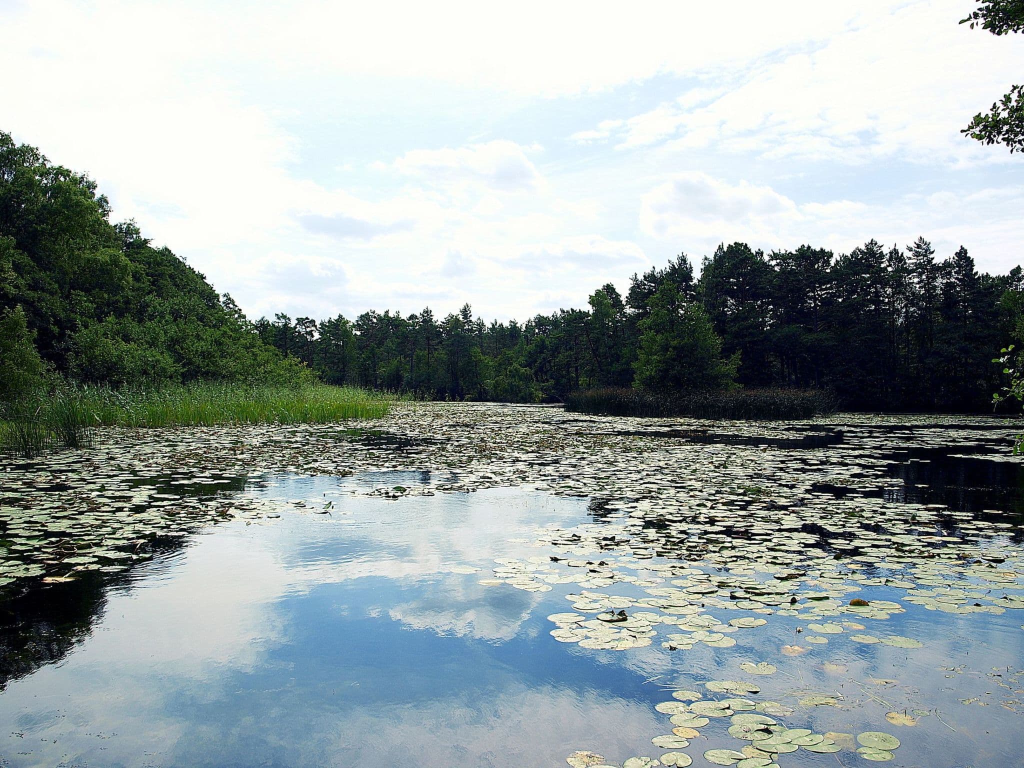 Gallery Image 39