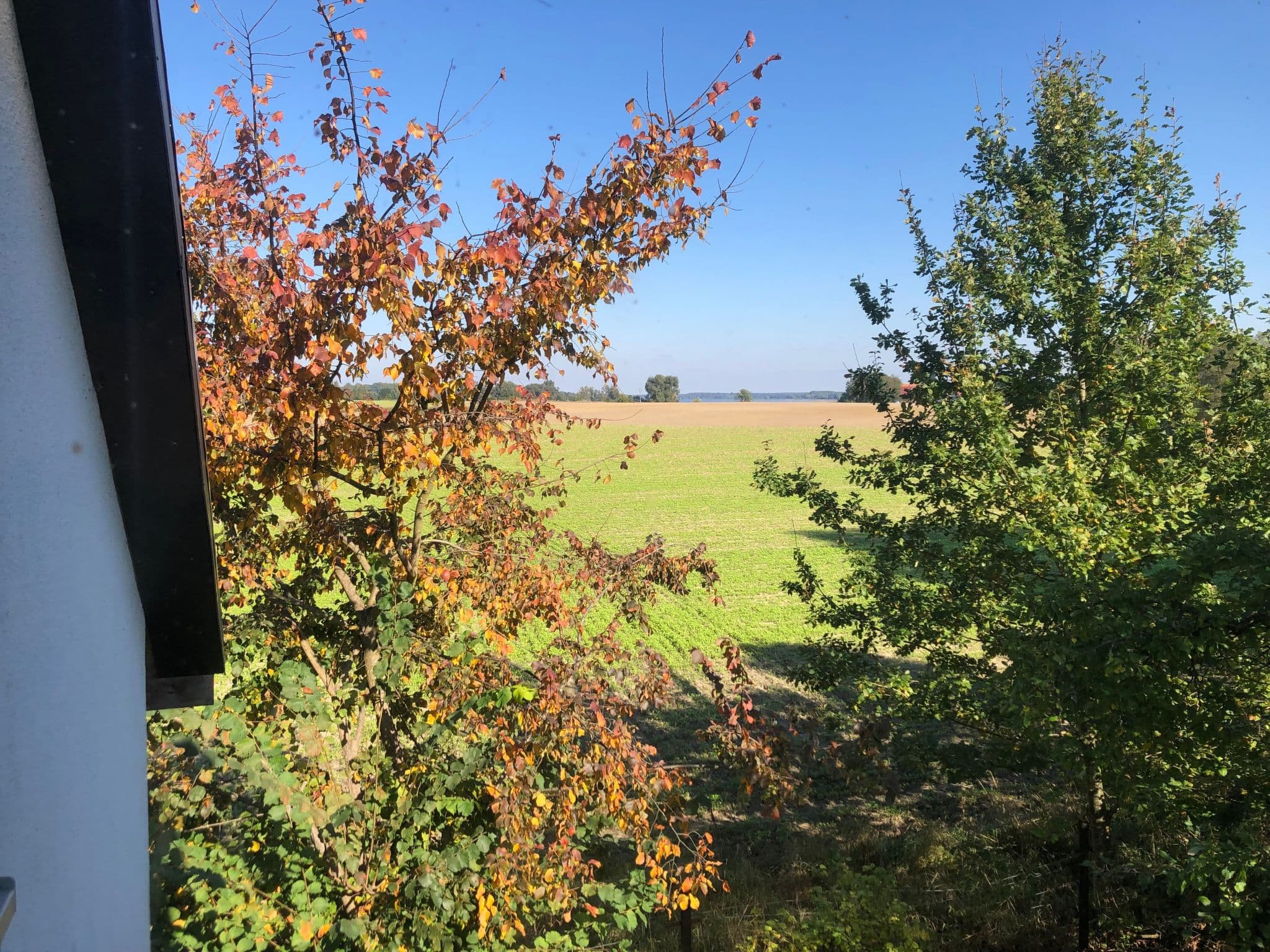 Gallery Image 14