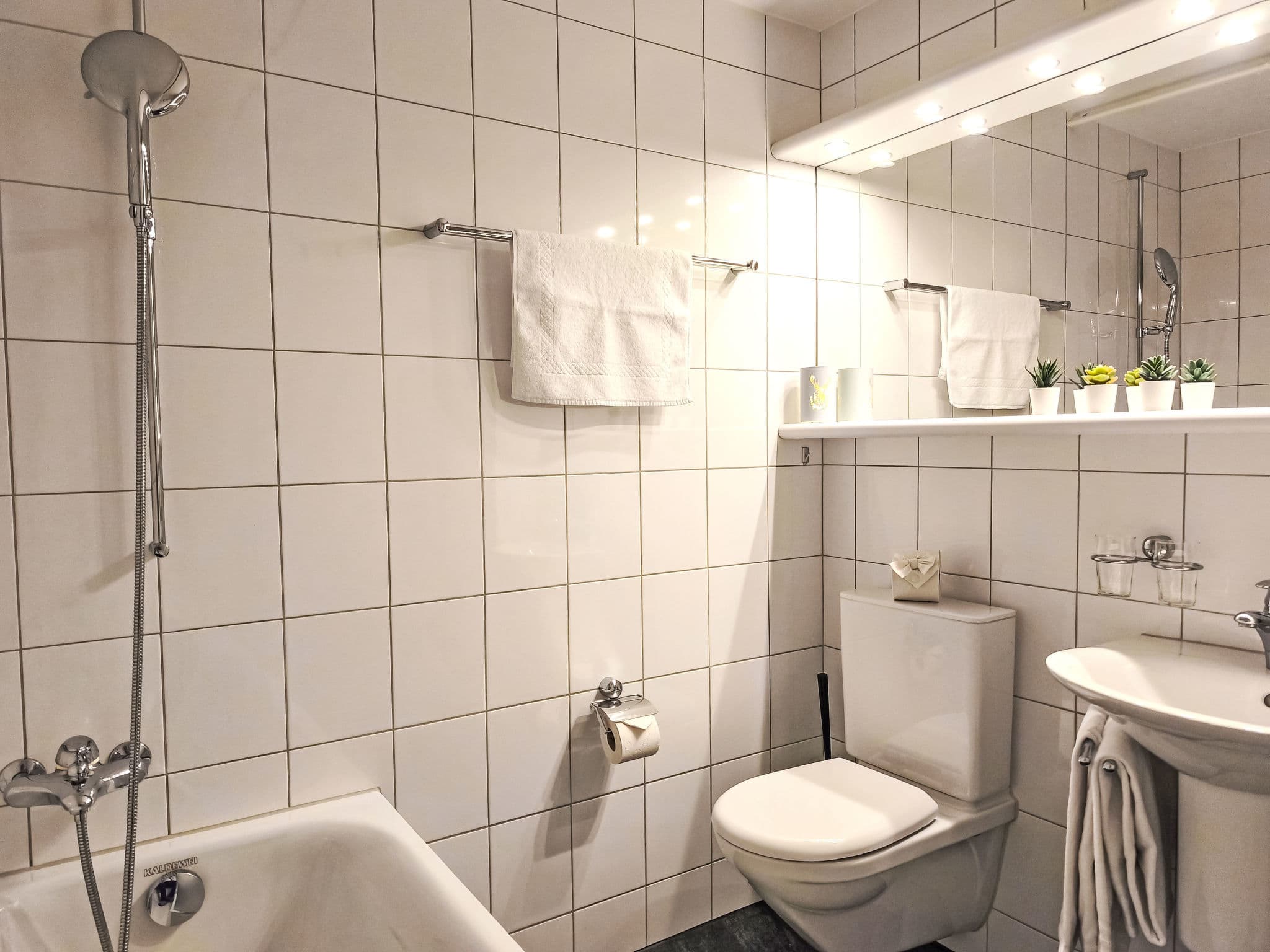 Bathroom / Wellness