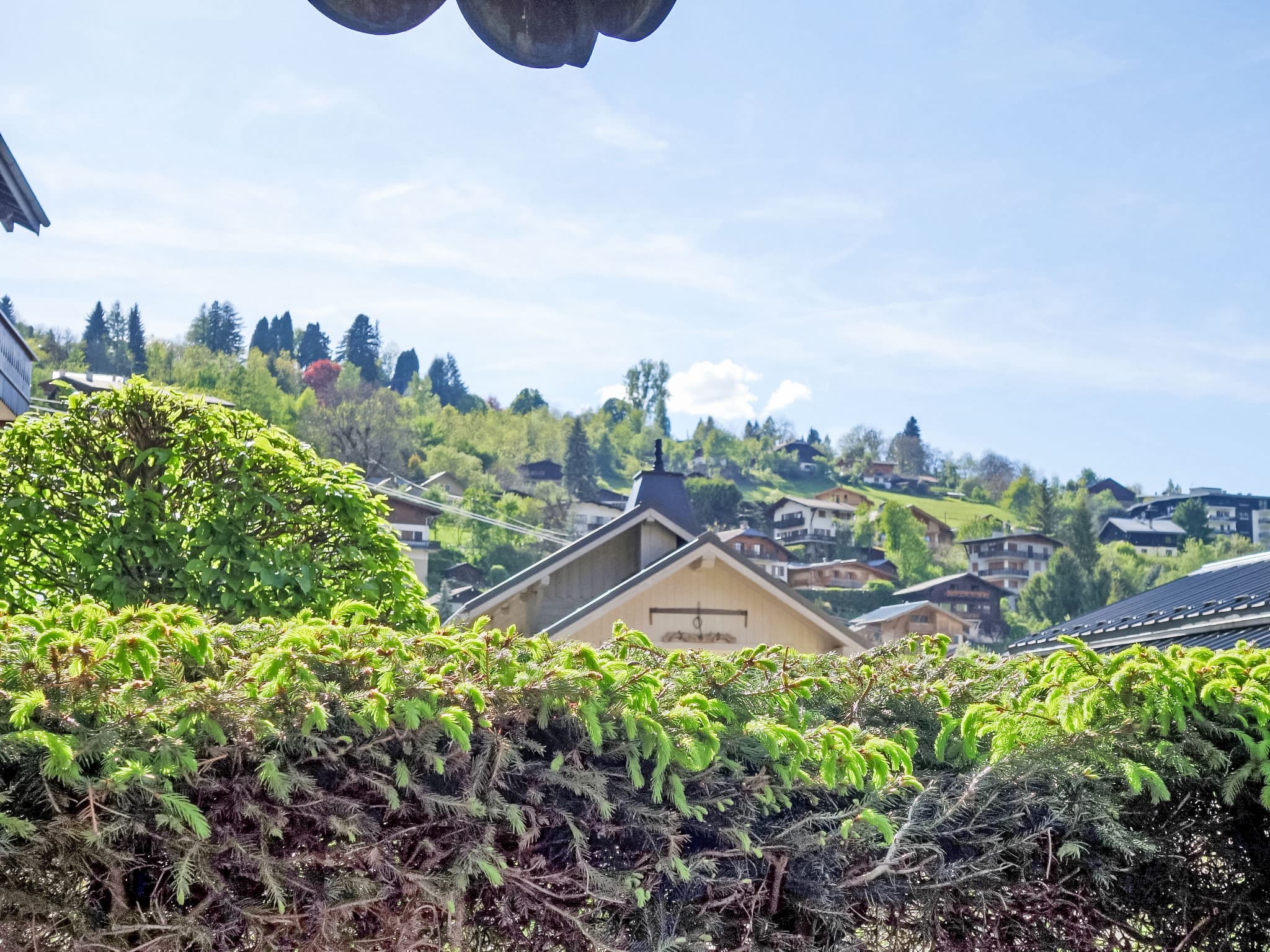View