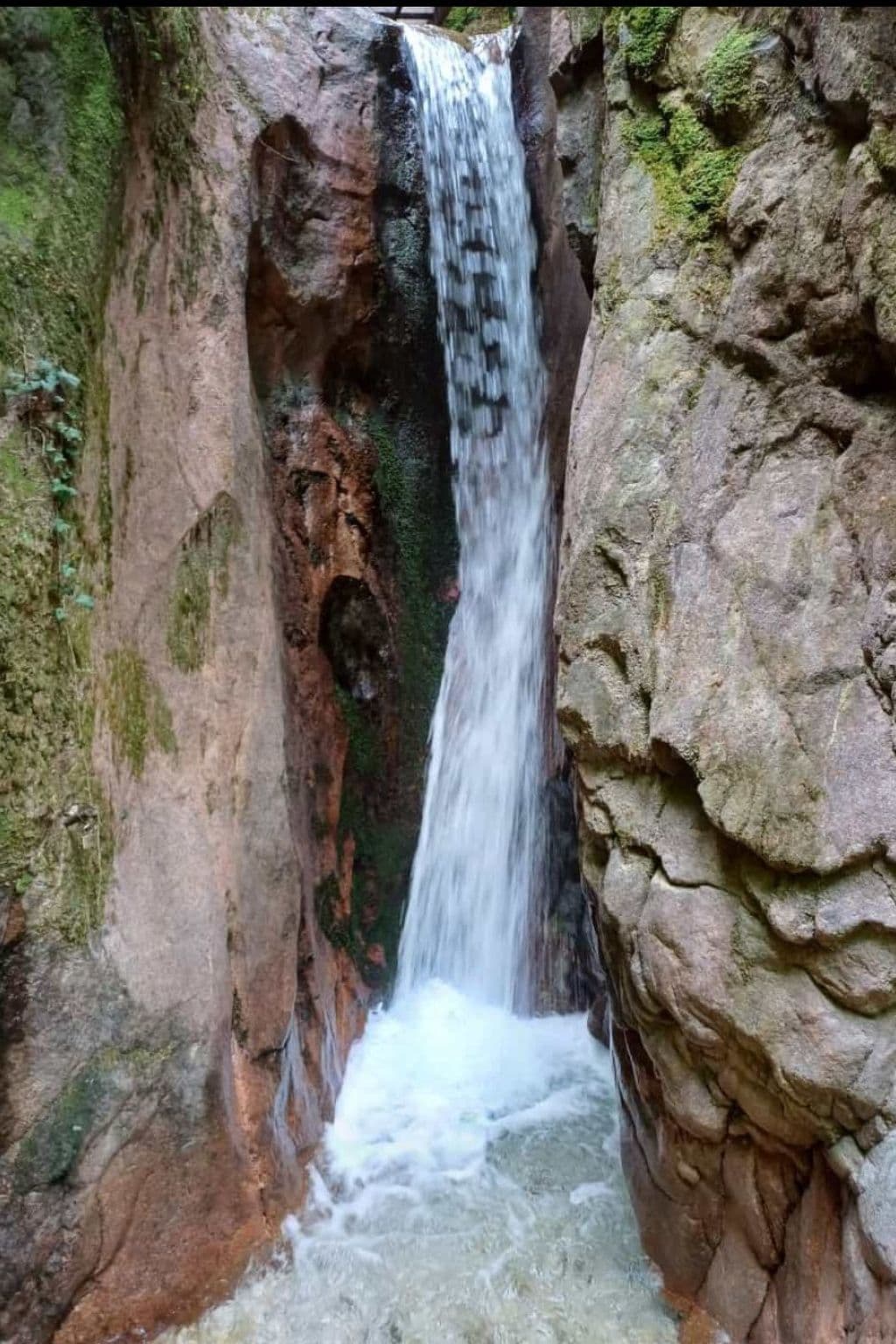 Gallery Image 21