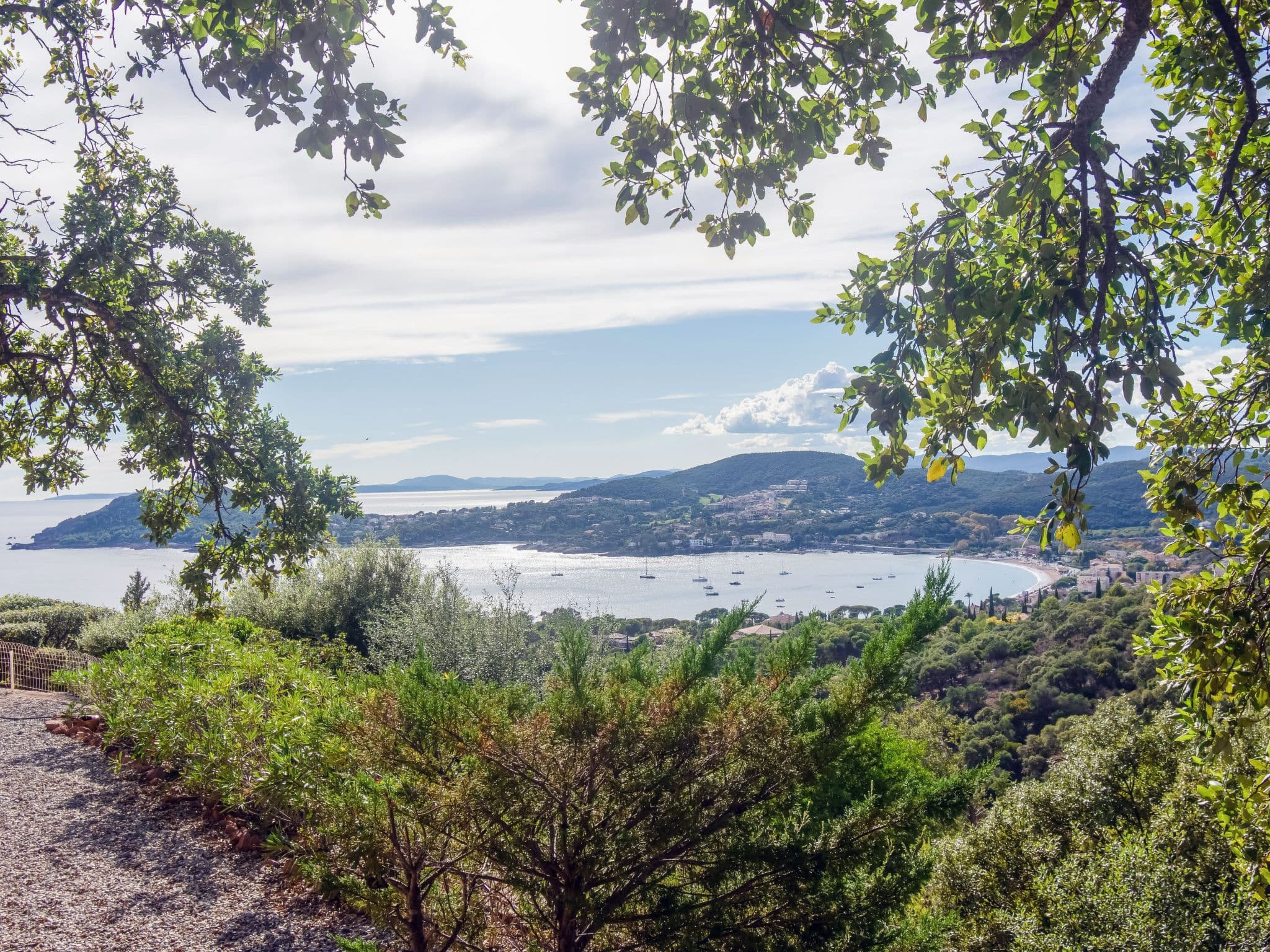 View