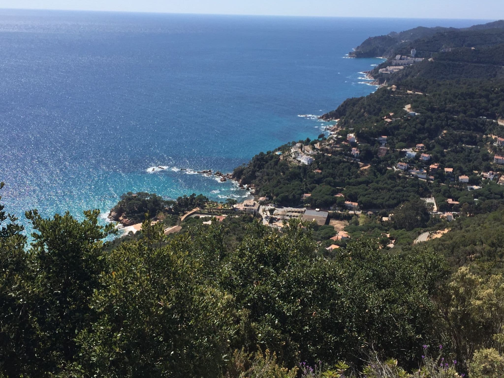 View