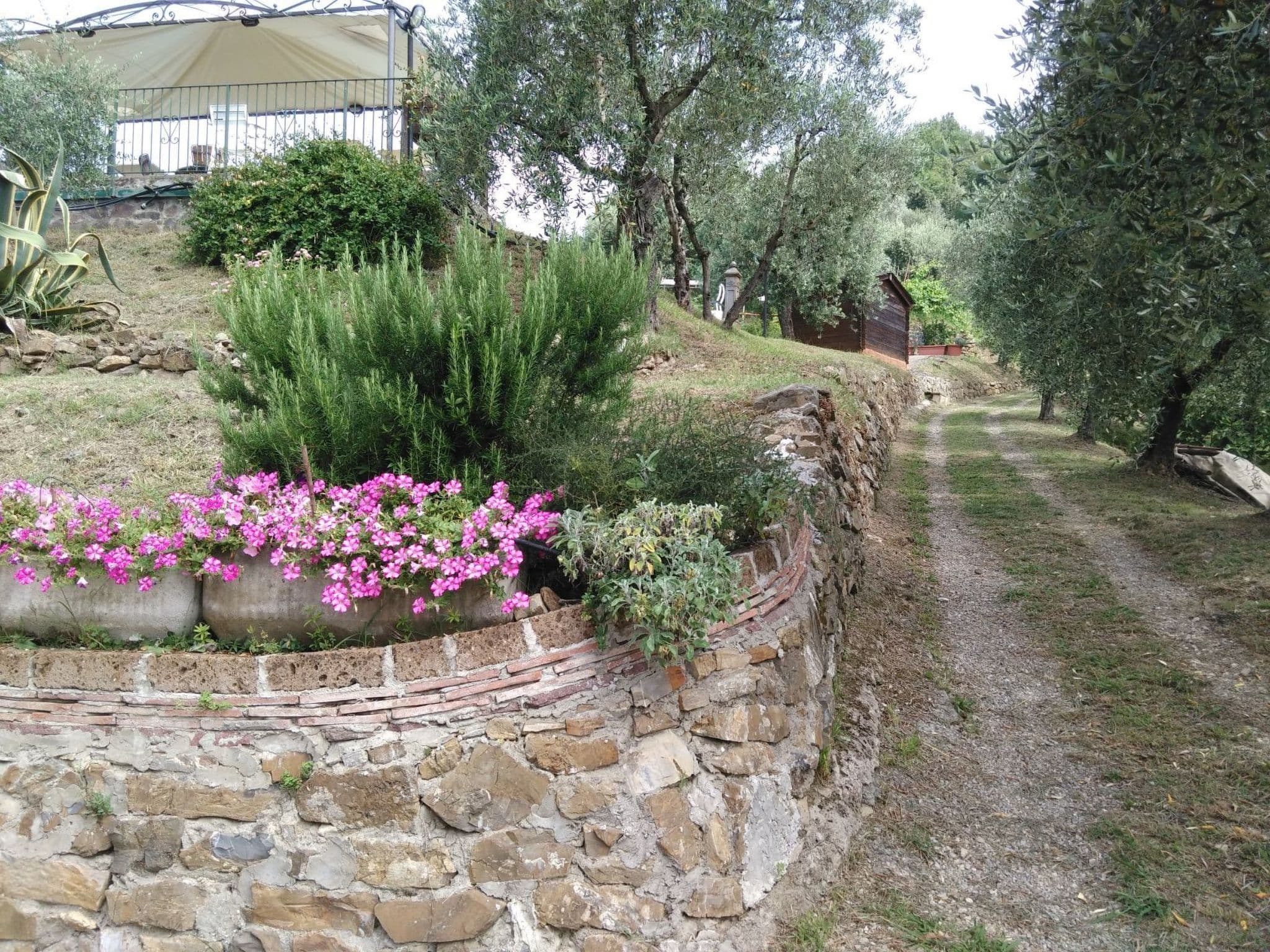 Gallery Image 30