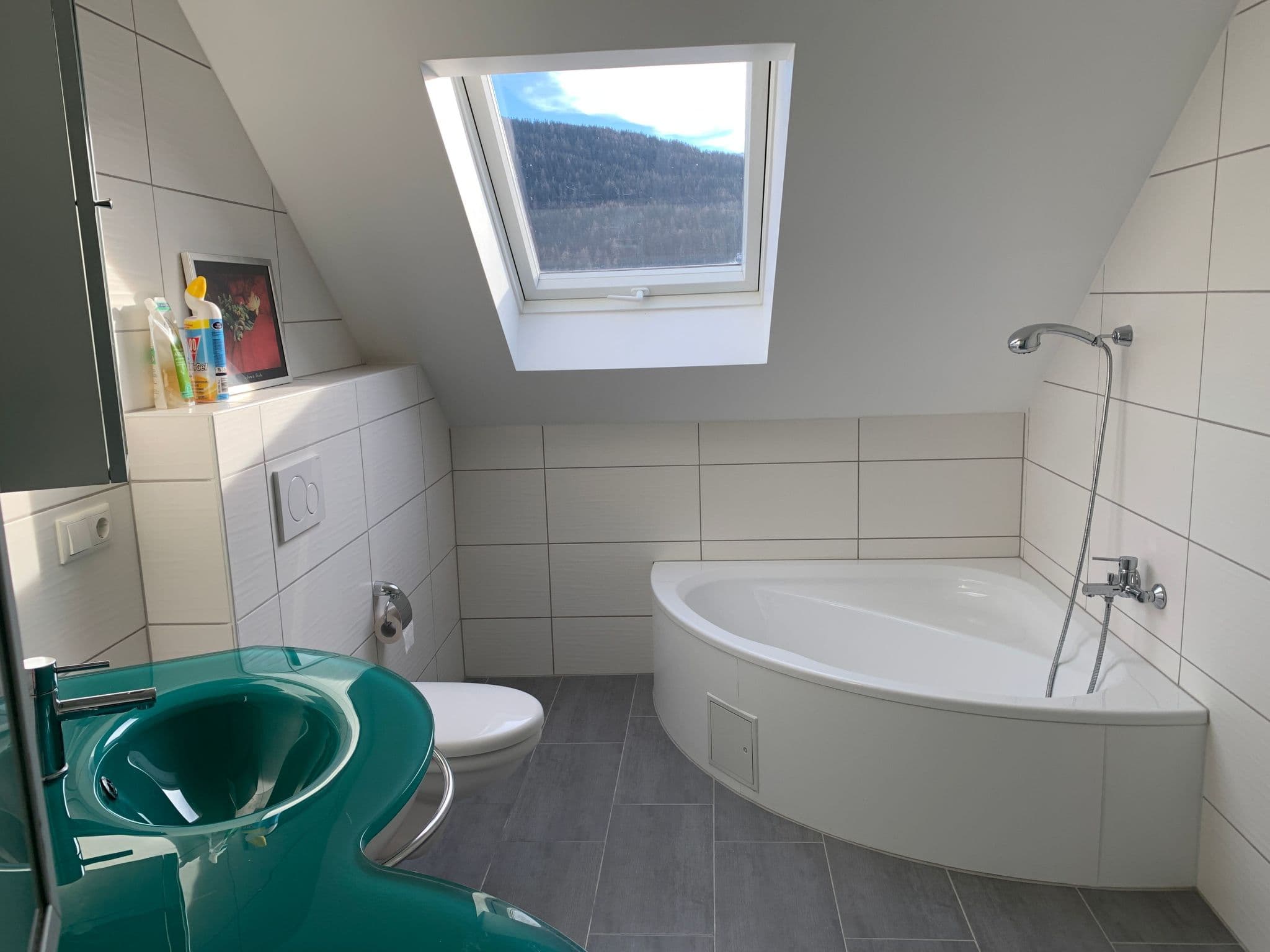 Bathroom / Wellness