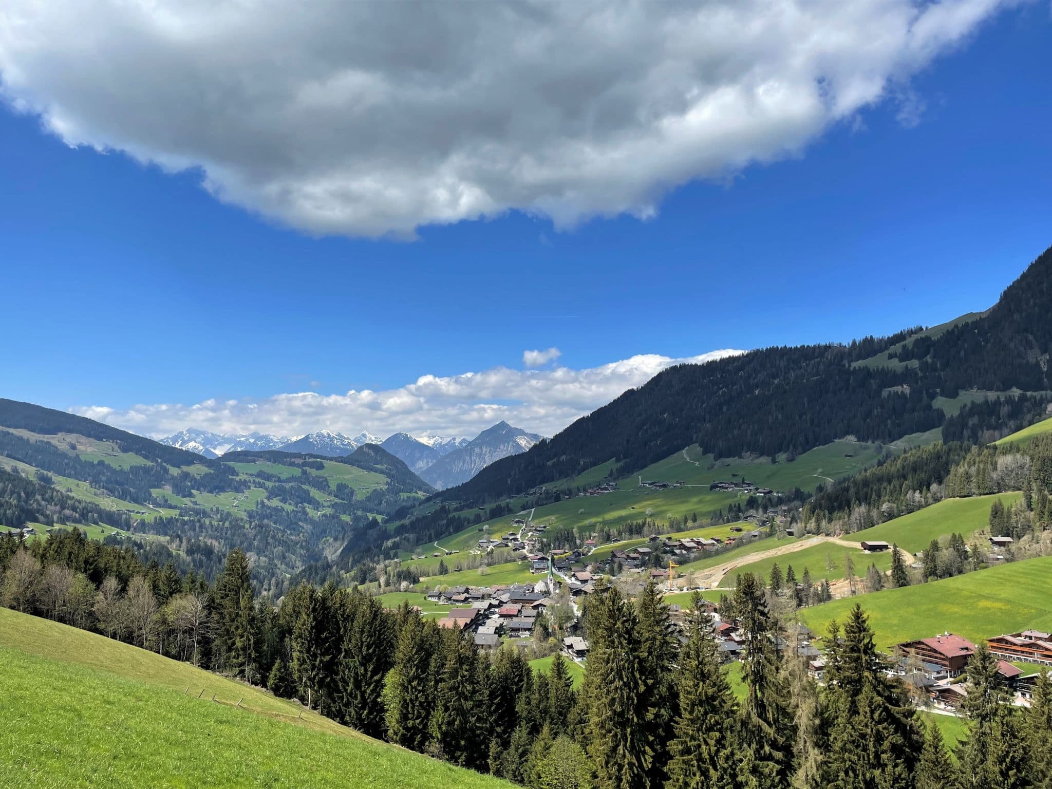 View