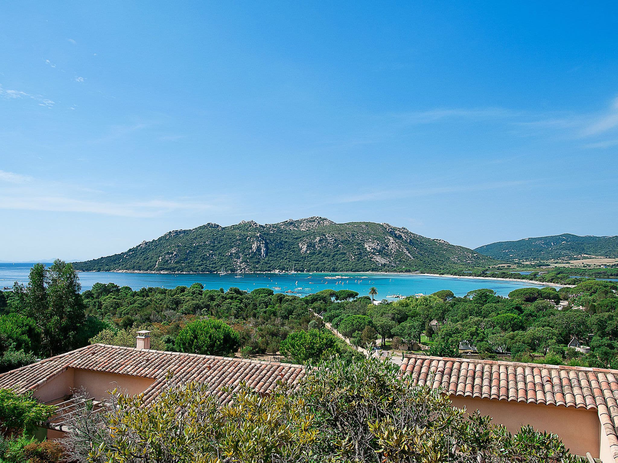 View