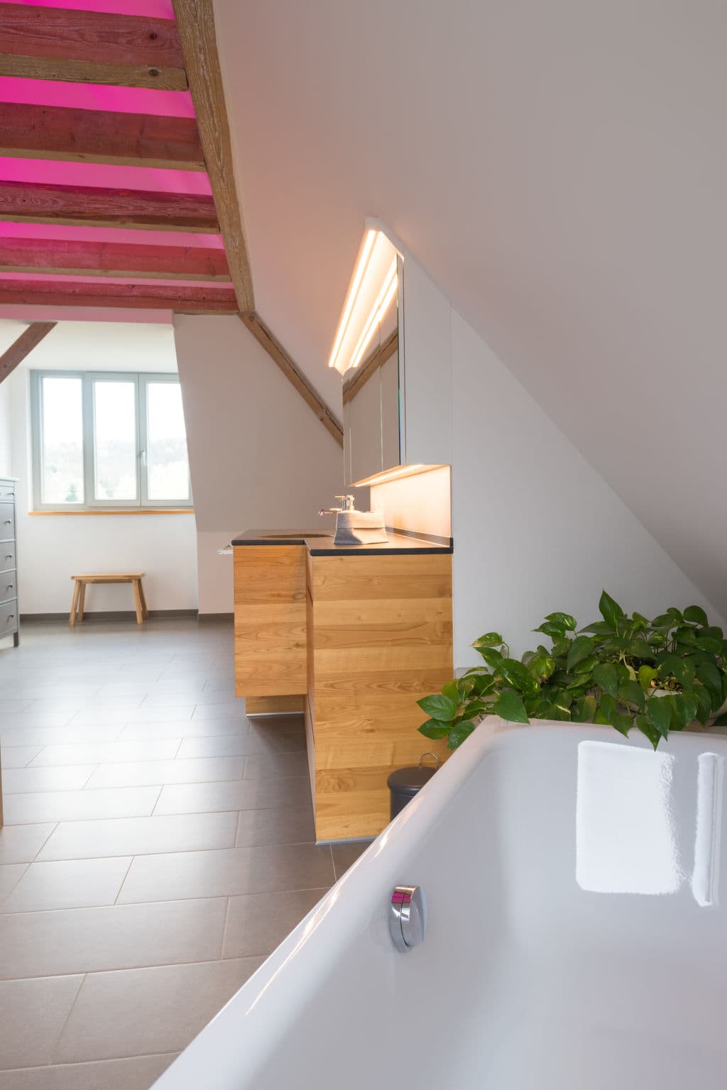 Bathroom / Wellness