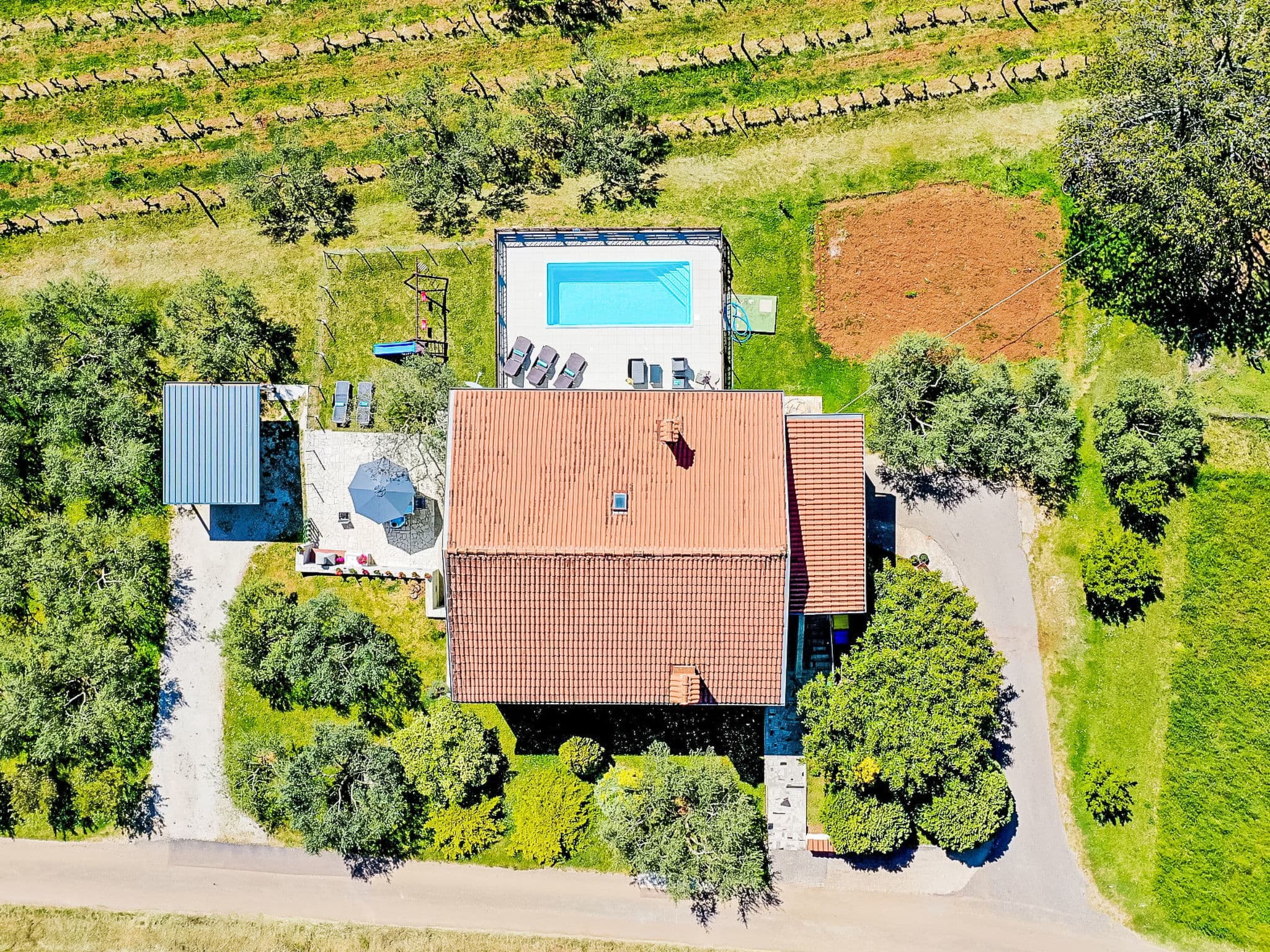 Aerial photography
