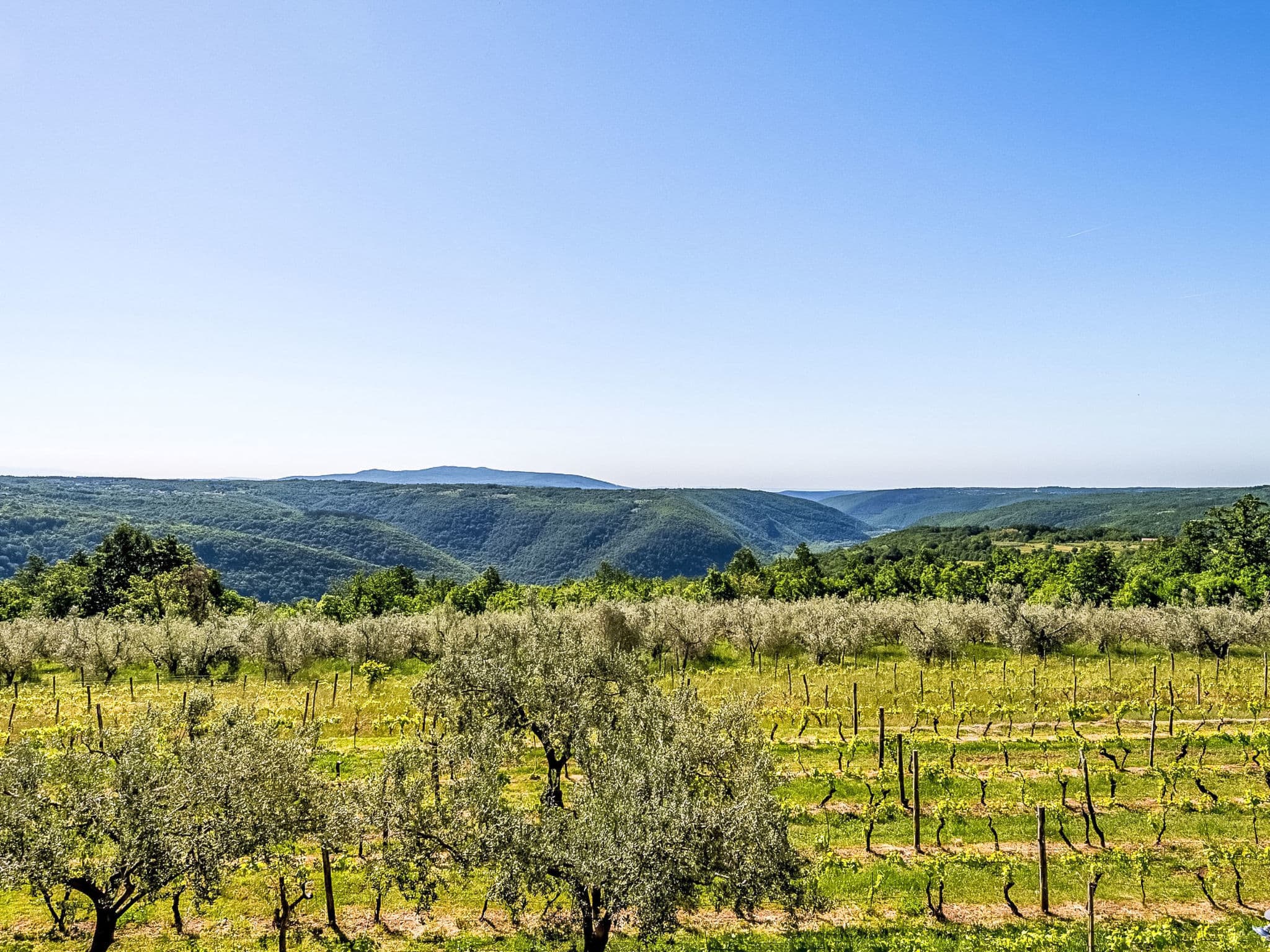 View