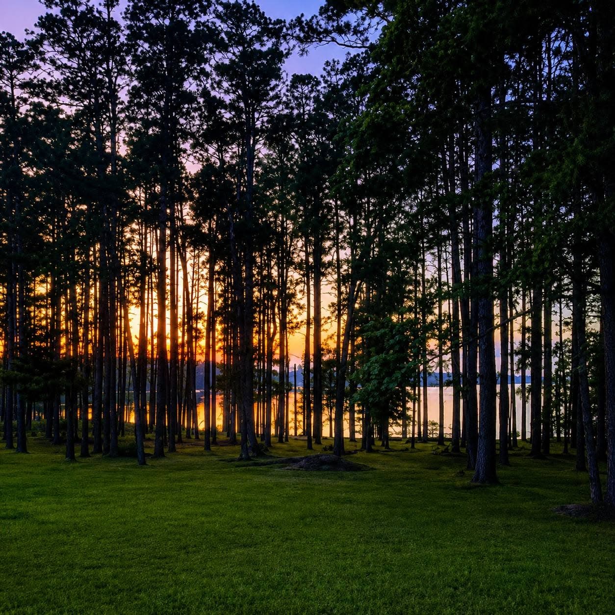 Beautiful Sunsets