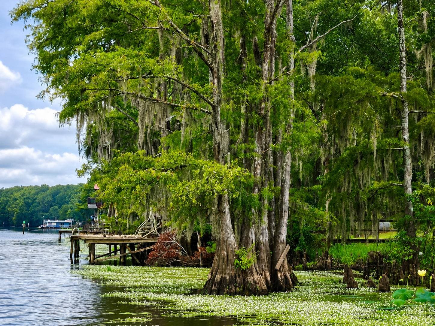 Caddos Natural Beauty