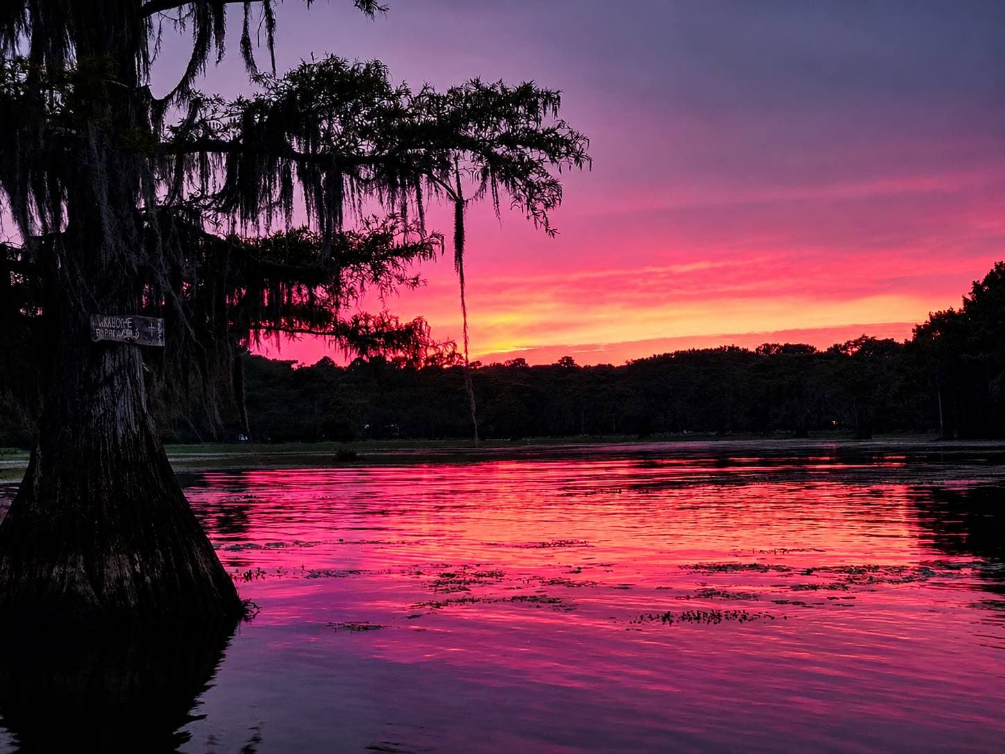 Caddo Sunset
