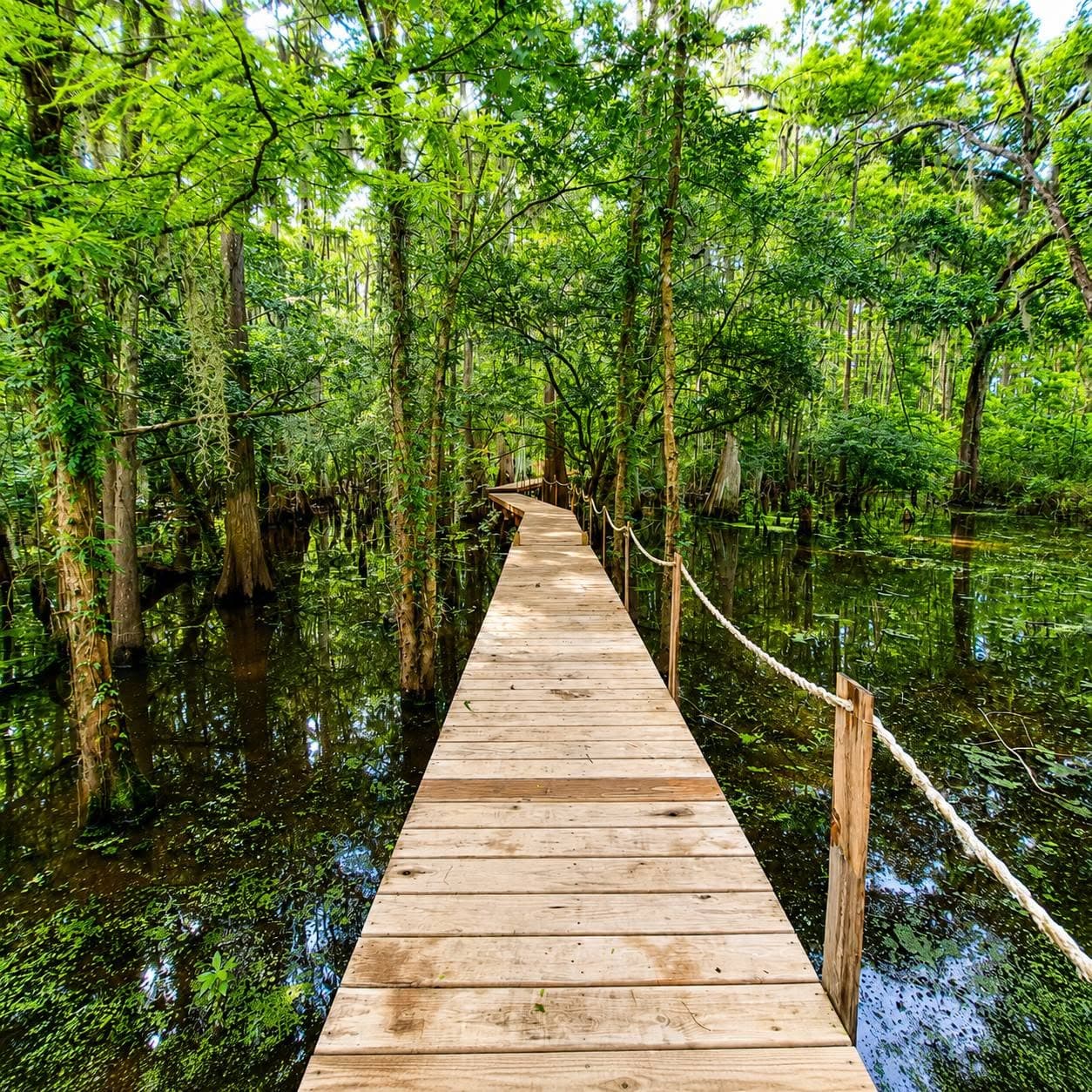 Nature Dock
