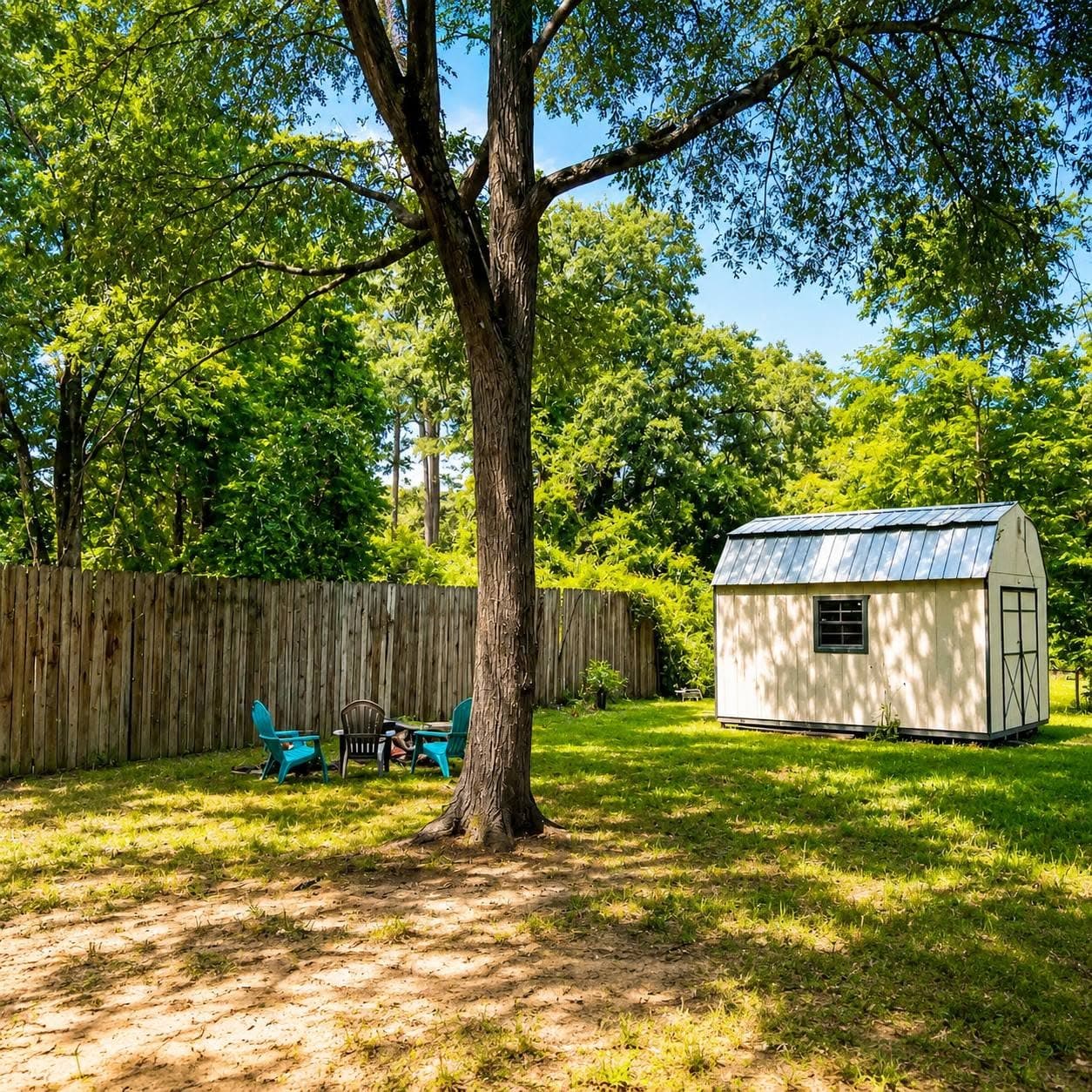 Backyard