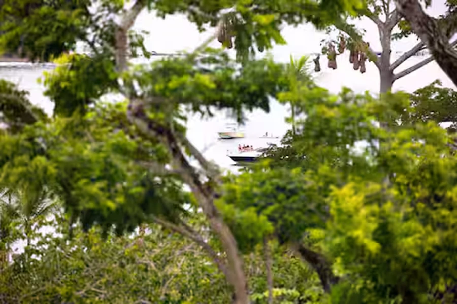 Balcony boats in Playa Mantas