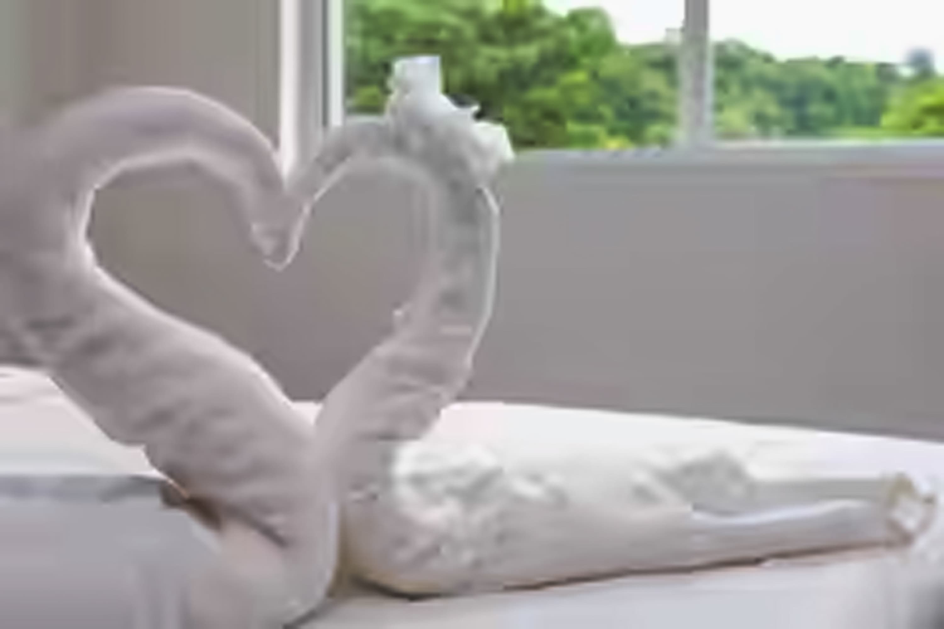 We chose Queen-size beds so you can sleep comfortably close to your loved ones in this breathtaking 