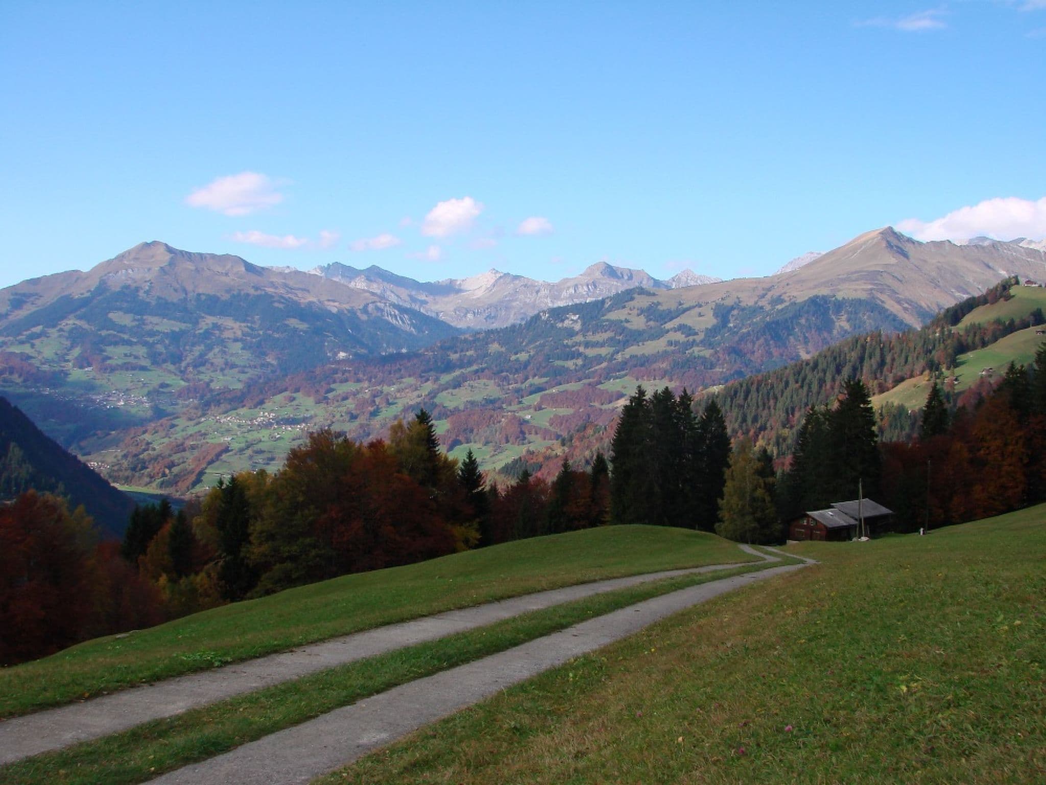 View