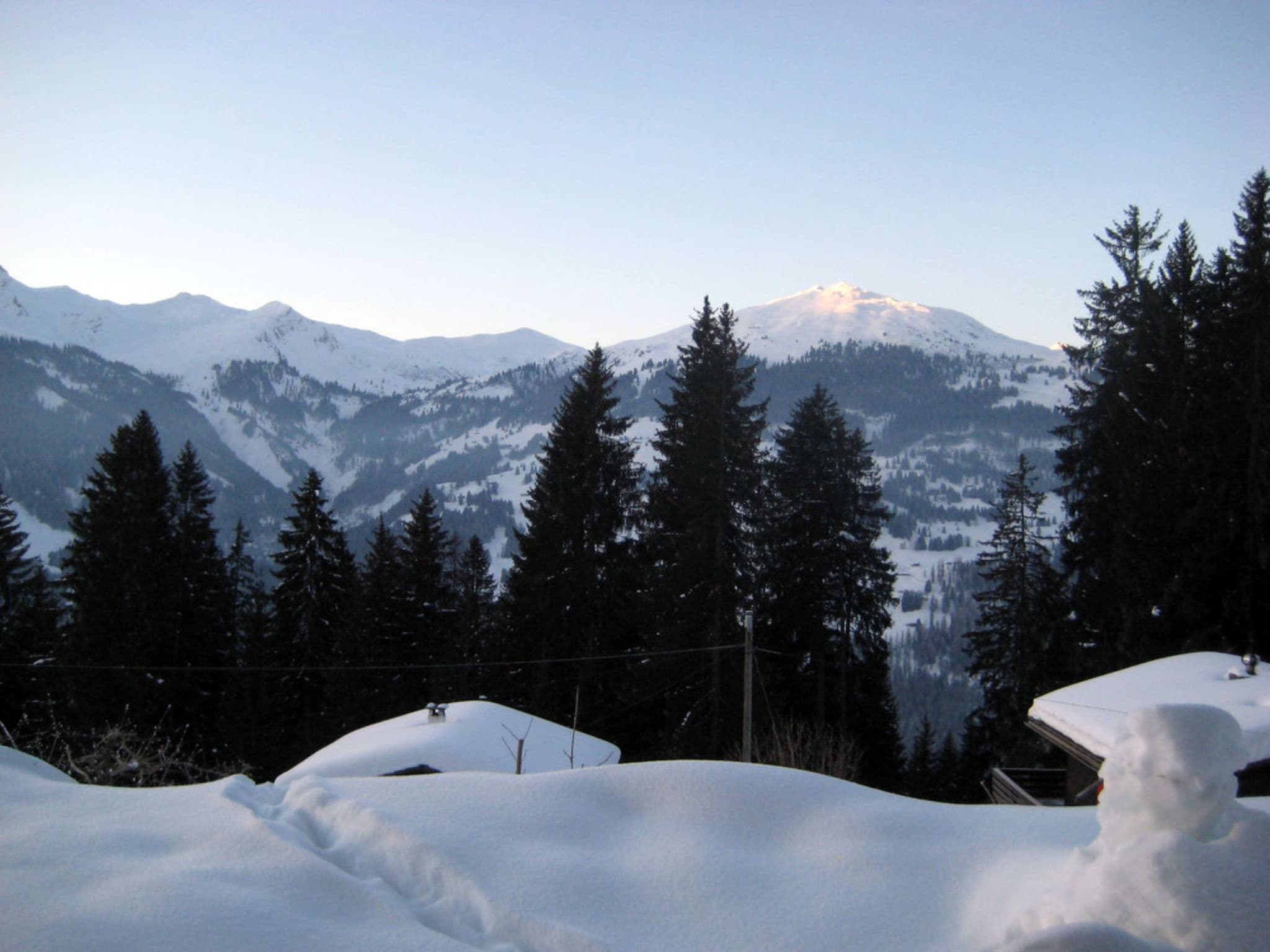 View