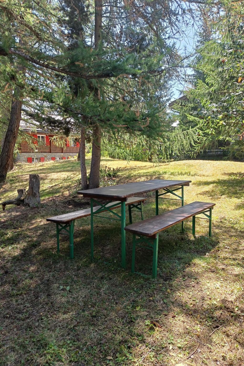 Gallery Image 7
