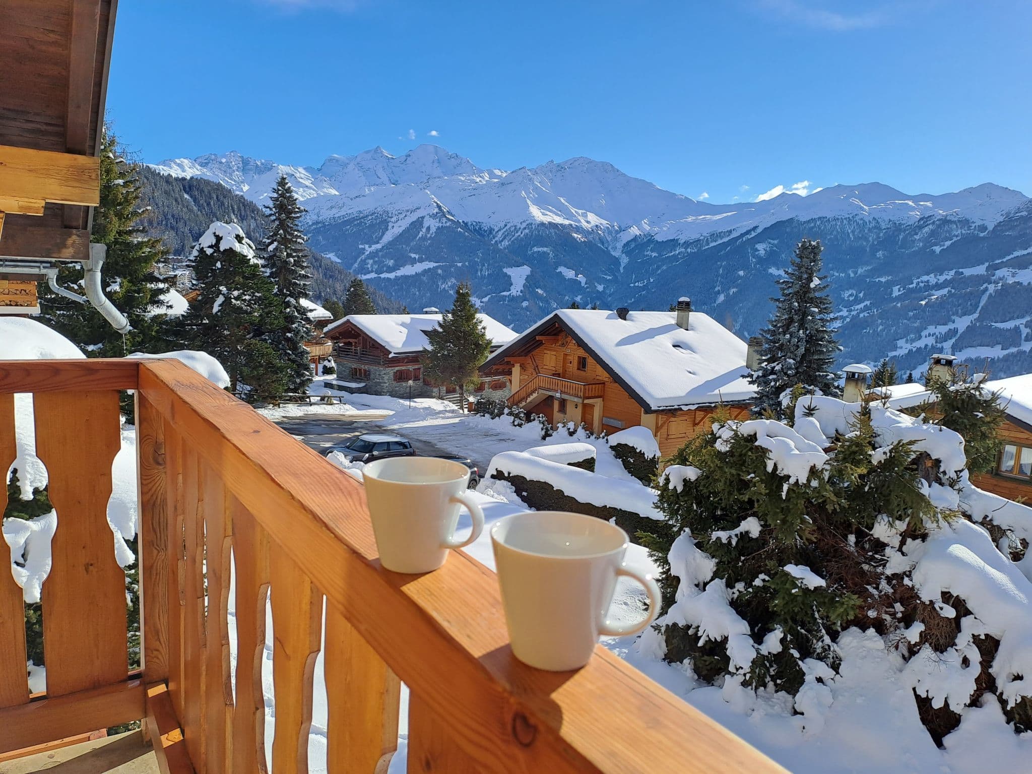 View