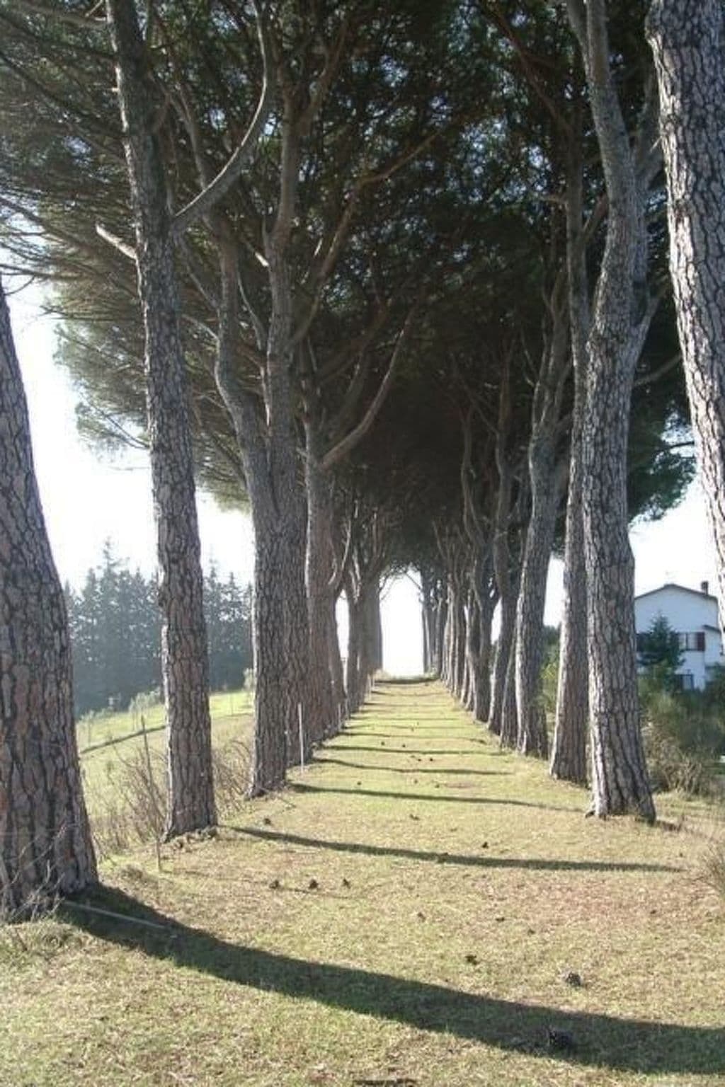 Gallery Image 13