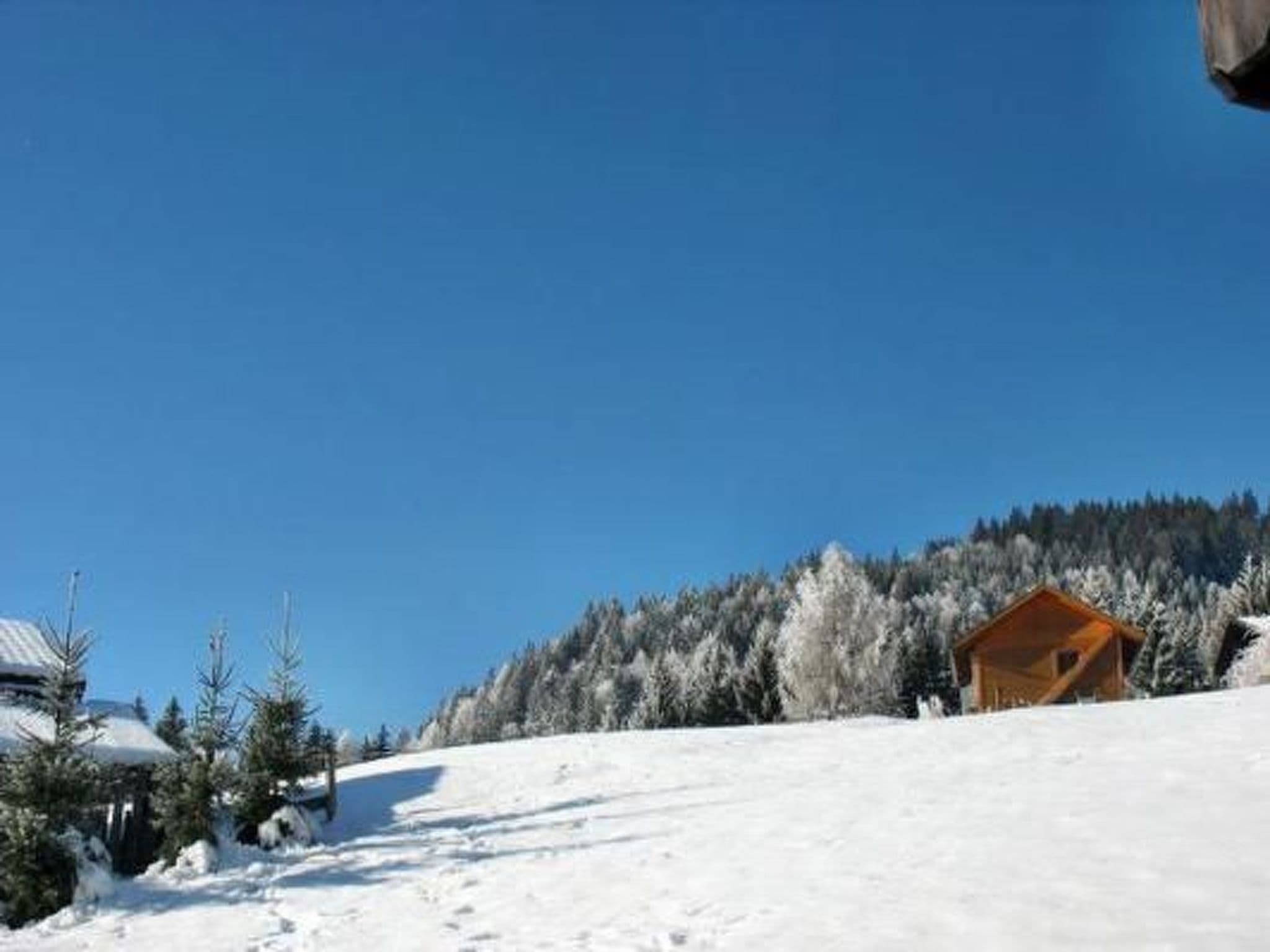 Gallery Image 14