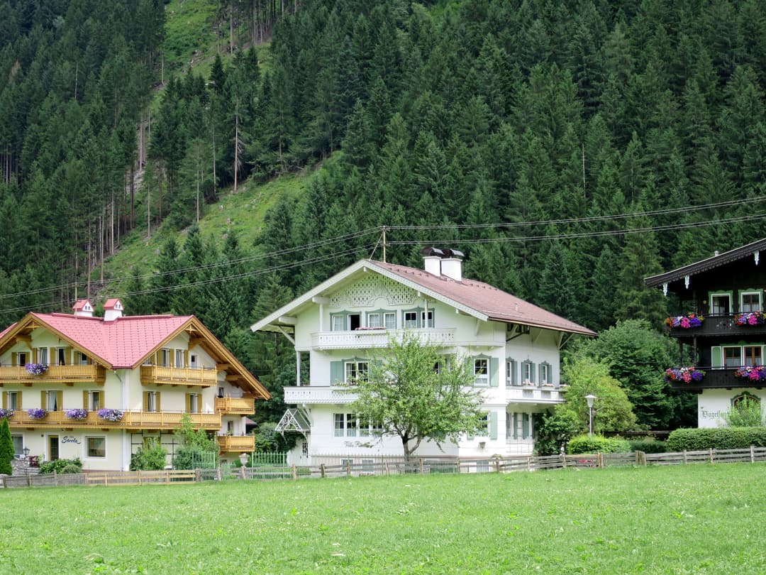 Large Image