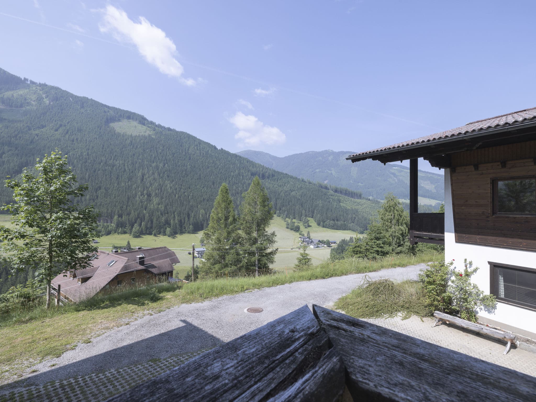 View