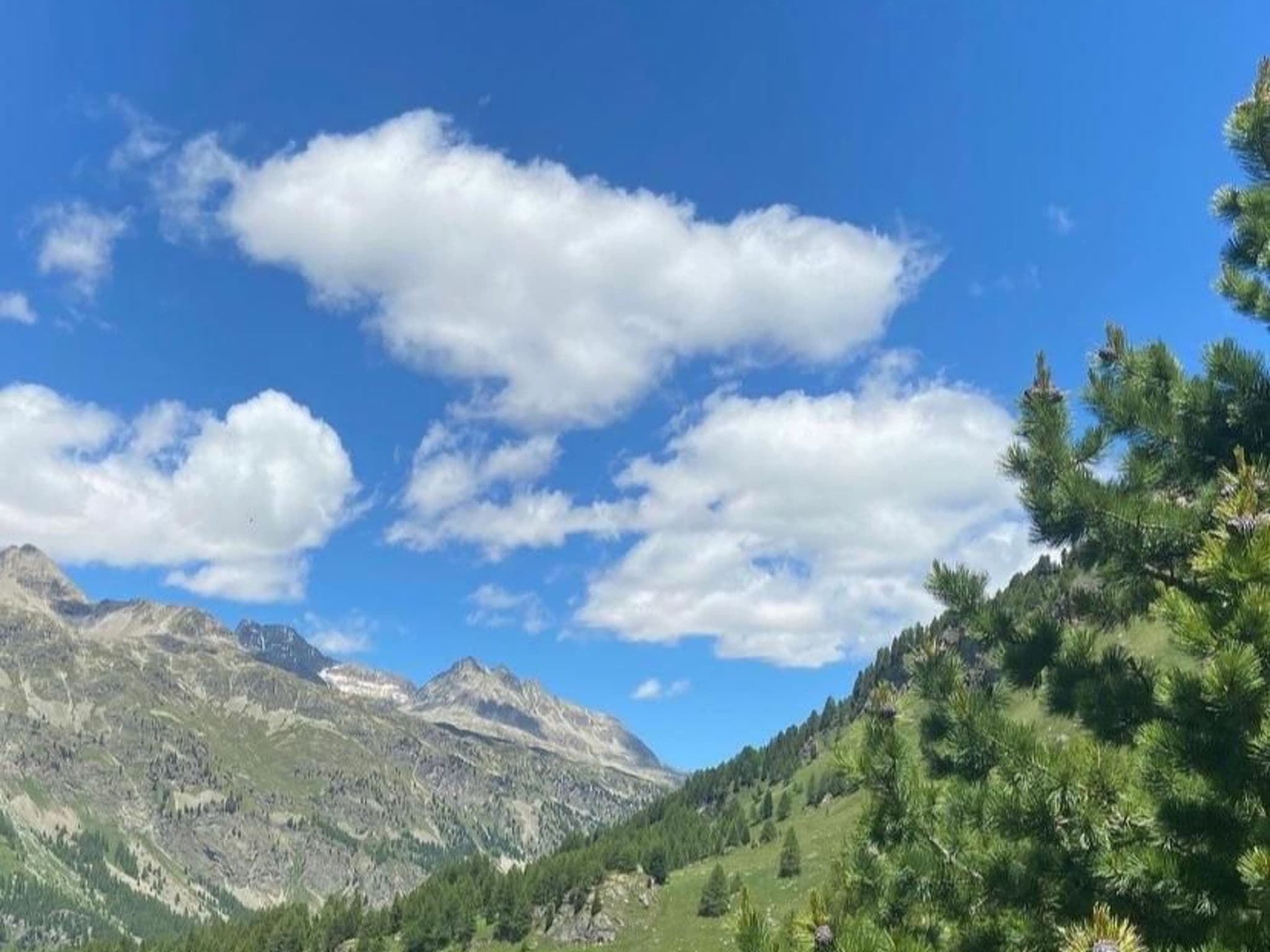 View