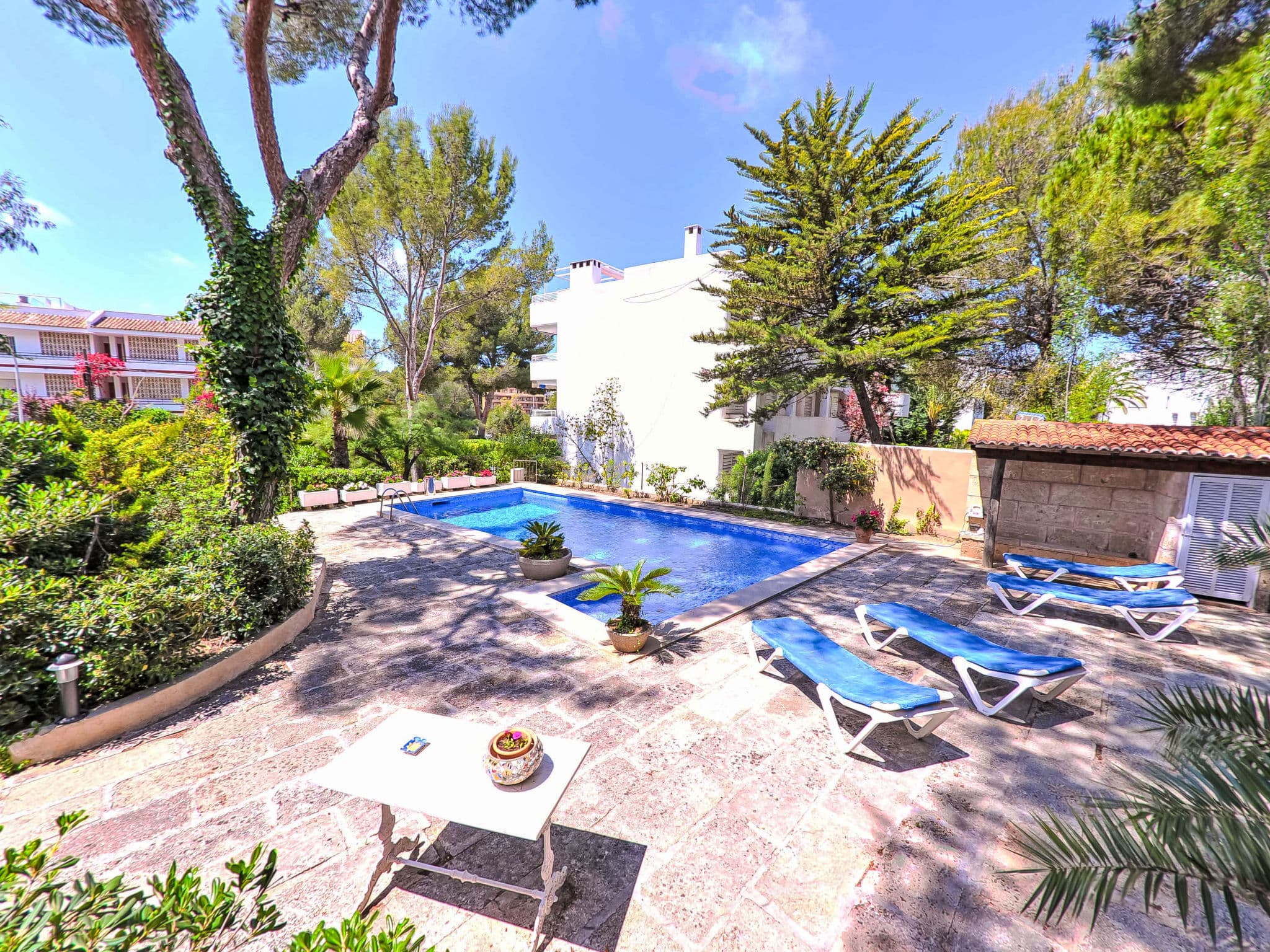 Pool Outdoor