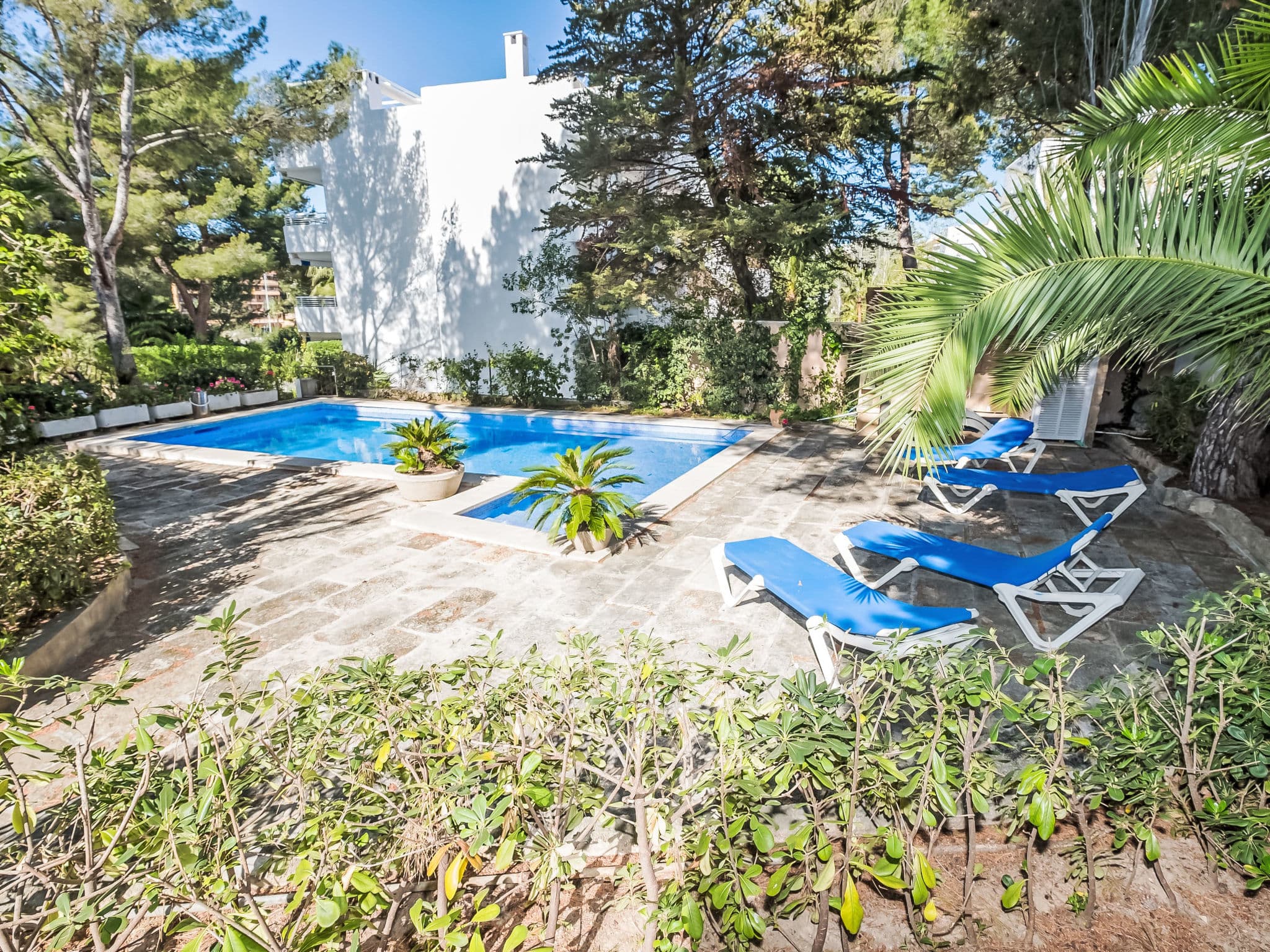 Pool Outdoor