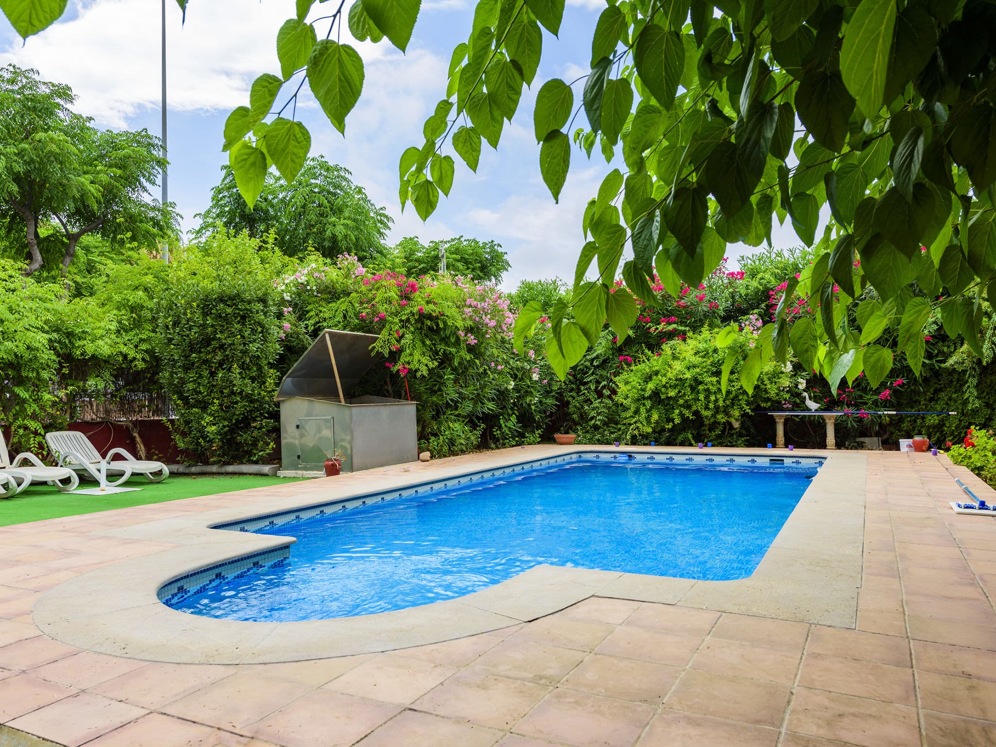 Pool Outdoor