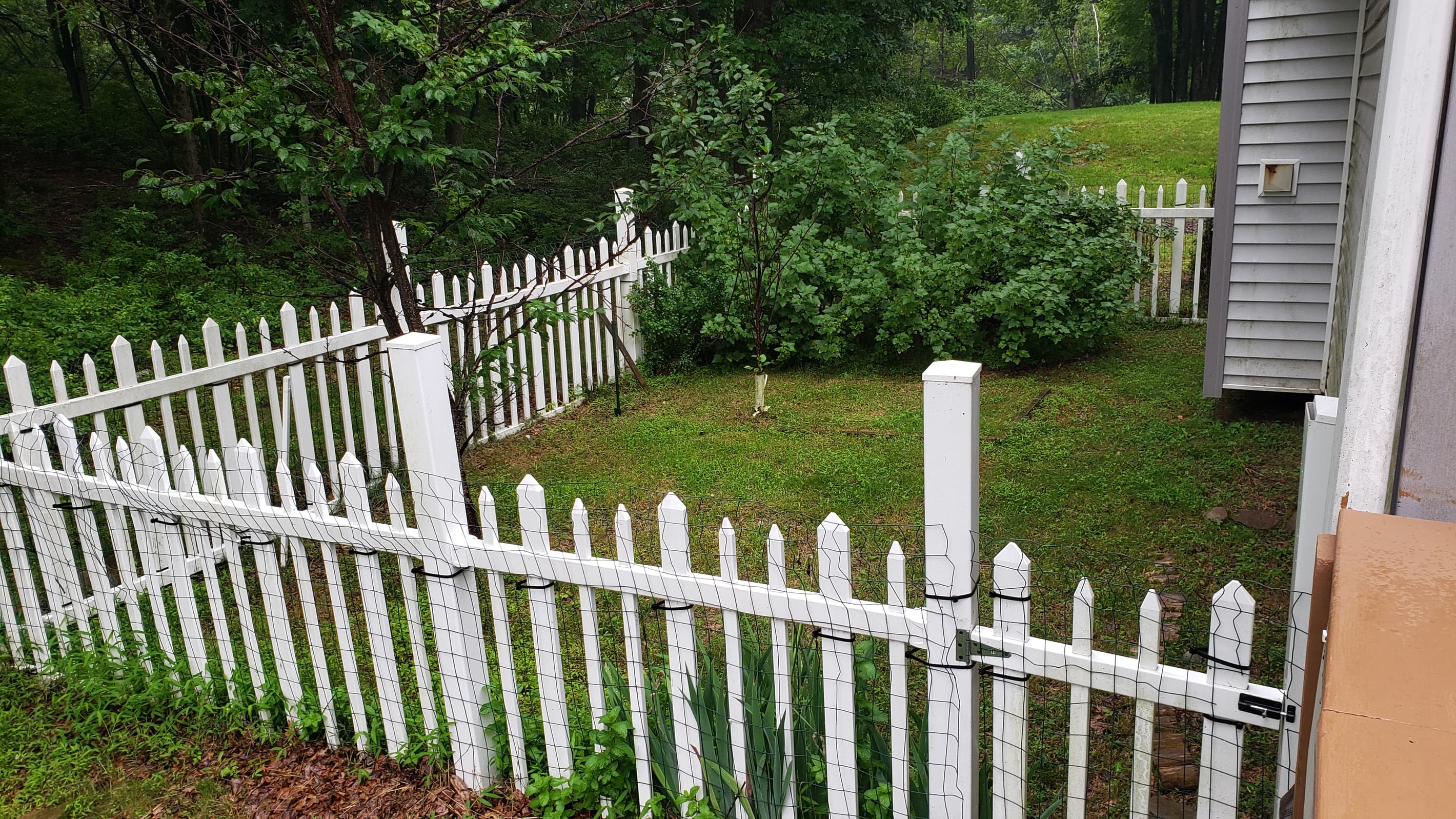 Fenced yard for furbabies to roam safely.