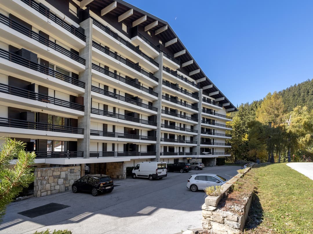 Large Image