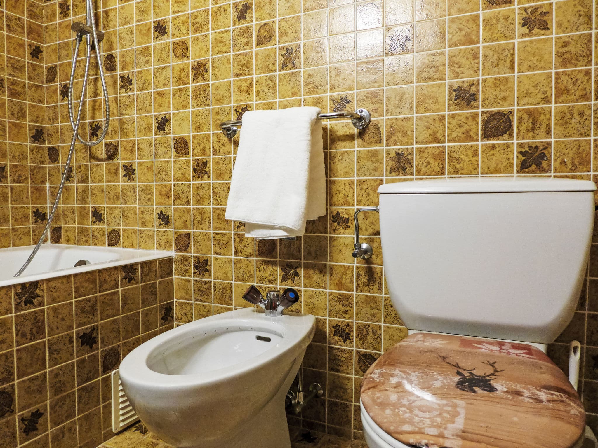 Bathroom / Wellness
